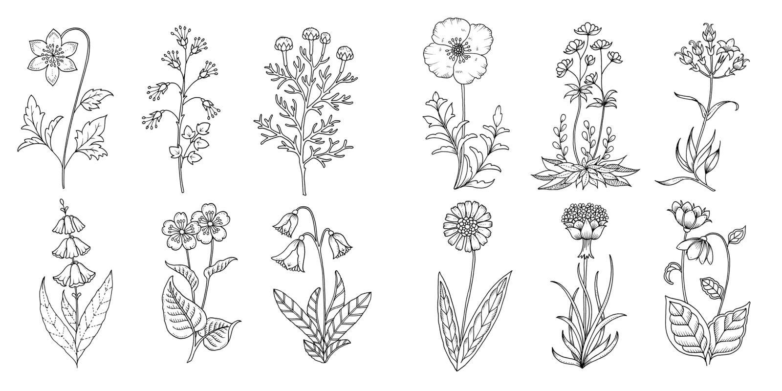 Beispielinhalt (Bild) Wundervolle Wildblumen