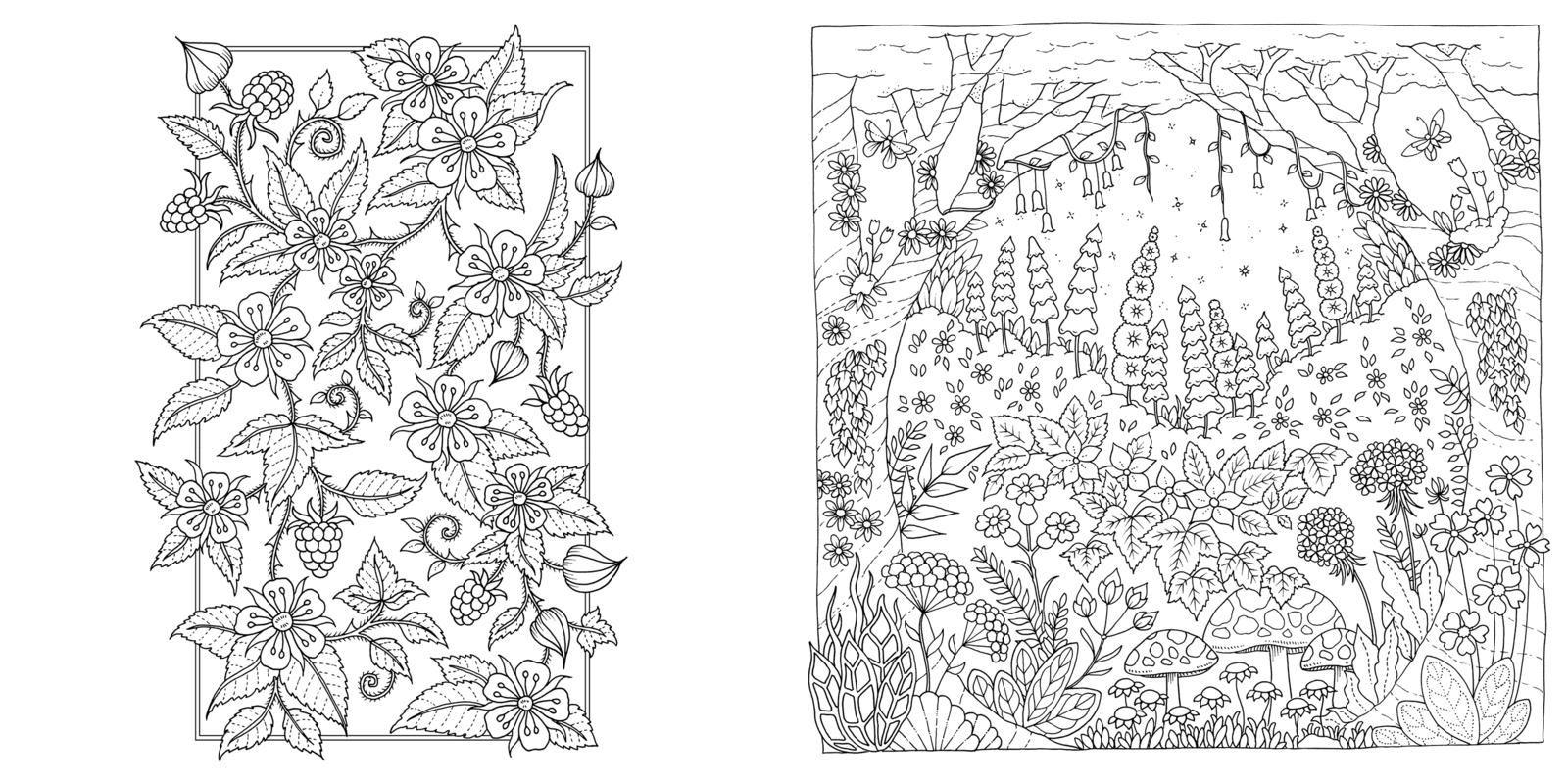 Beispielinhalt (Bild) Wundervolle Wildblumen