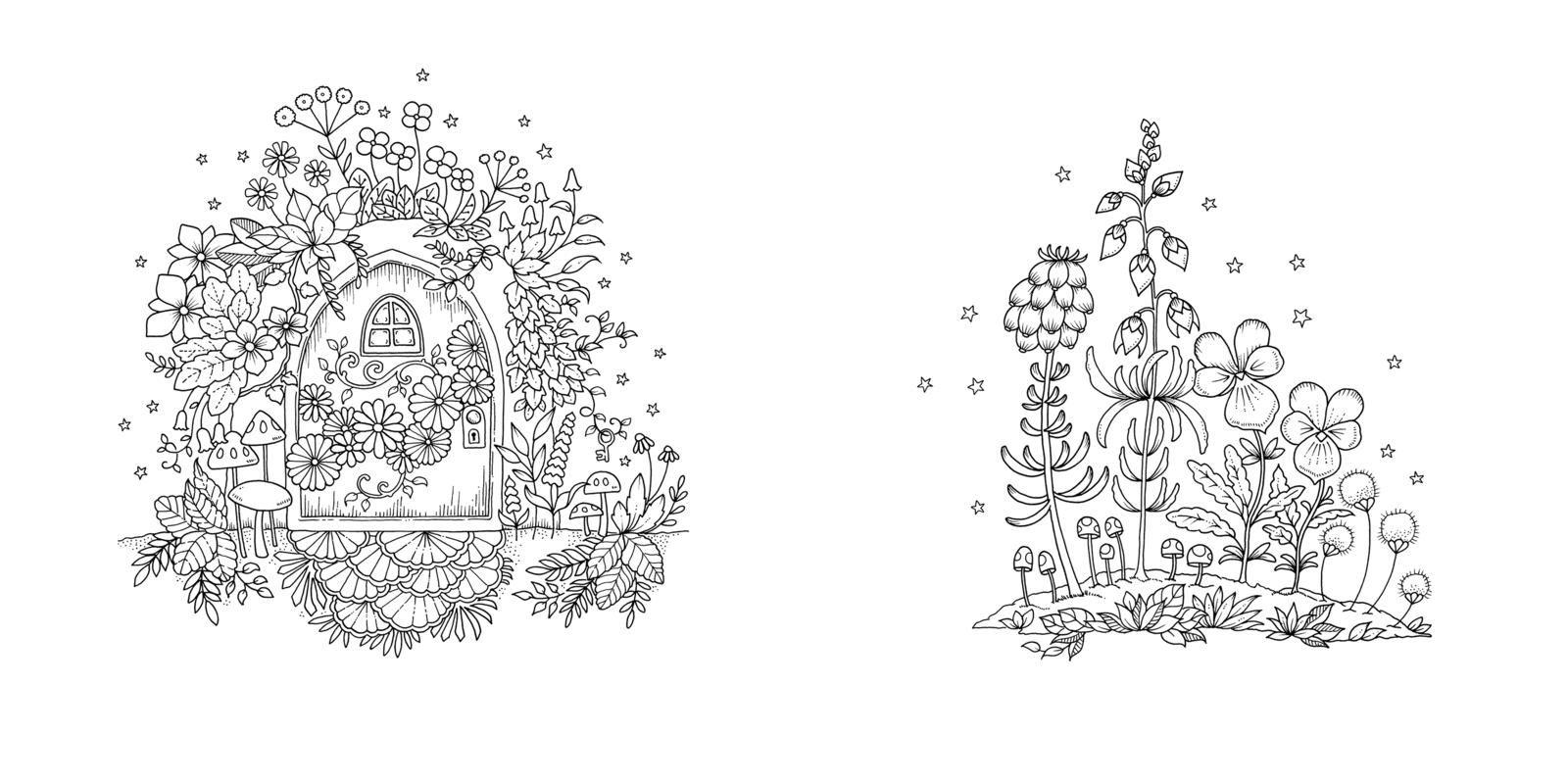 Beispielinhalt (Bild) Wundervolle Wildblumen