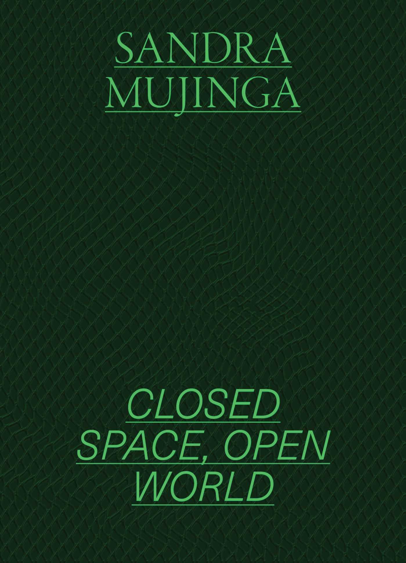 Vorderes Coverbild Sandra Mujinga