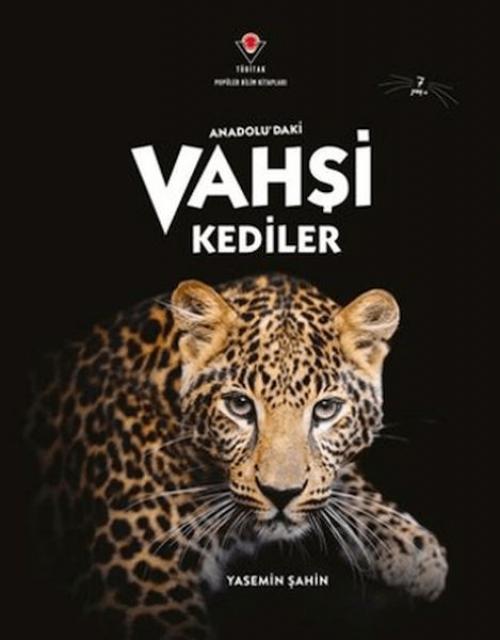 Vorderes Coverbild Anadoludaki Vahsi Kediler