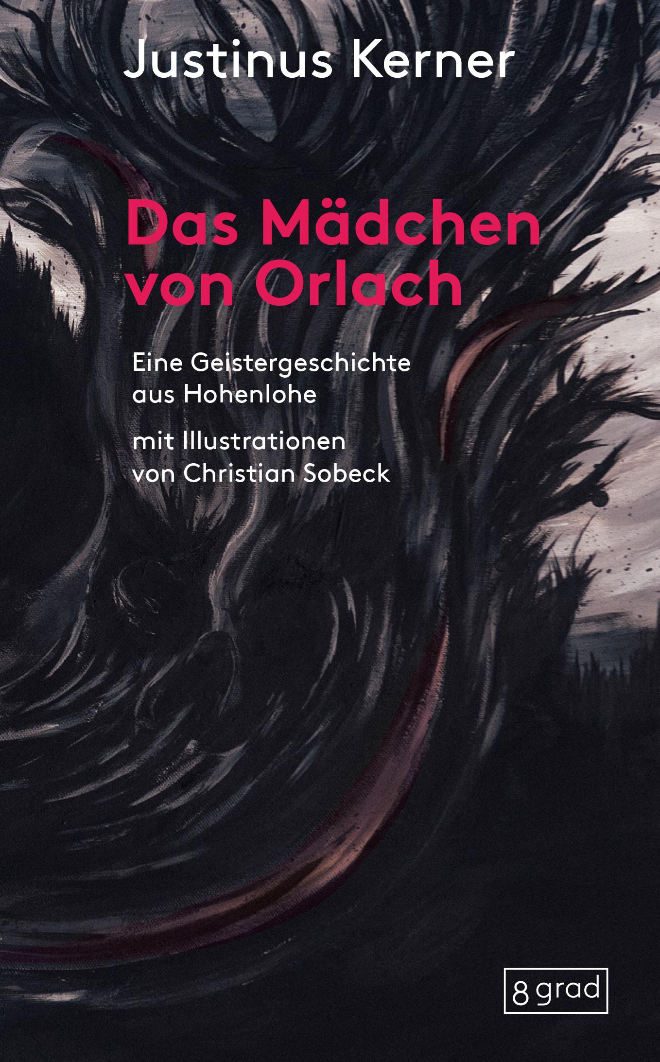 Vorderes Coverbild Das Mädchen von Orlach