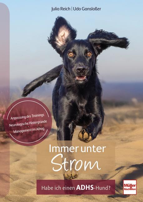 Vorderes Coverbild Immer unter Strom
