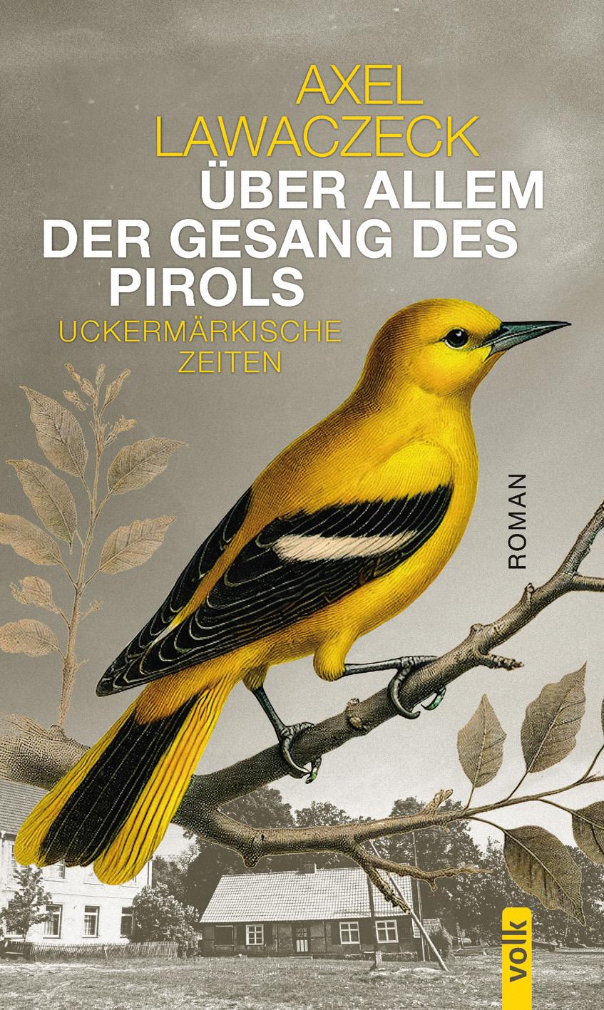 Vorderes Coverbild Über allem der Gesang des Pirols