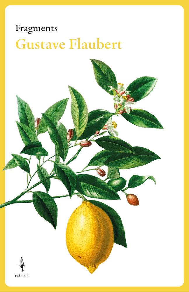Vorderes Coverbild Fragments Gustave Flaubert