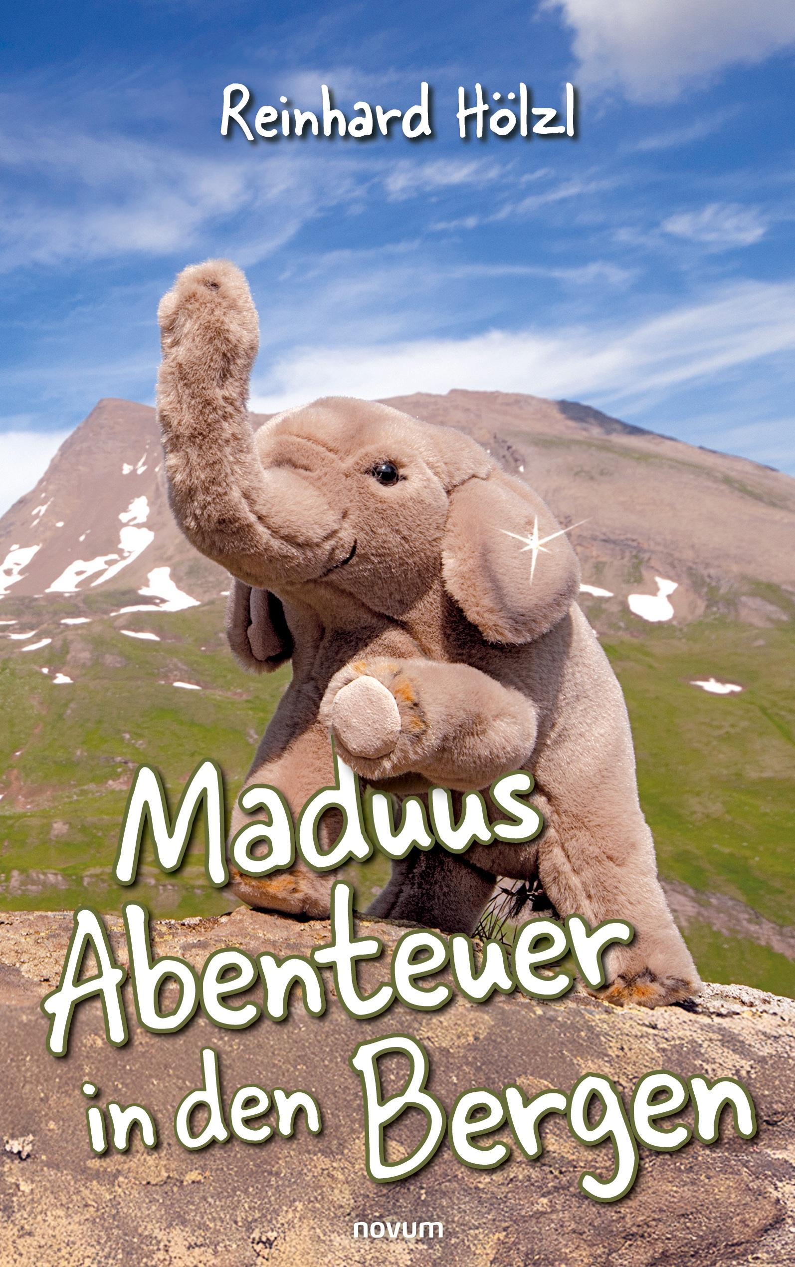 Vorderes Coverbild Maduus Abenteuer in den Bergen