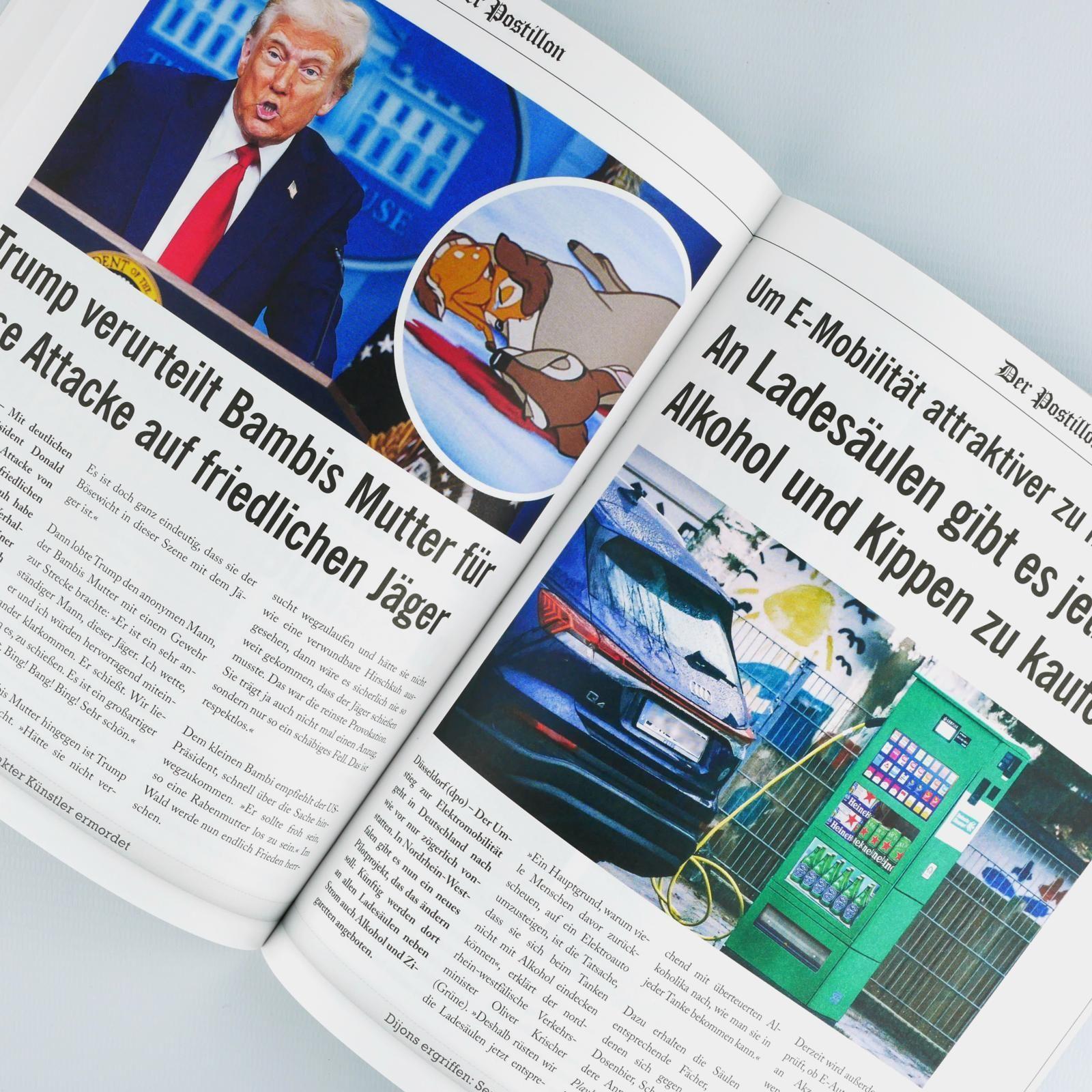 Beispielinhalt (Bild) Der Postillon