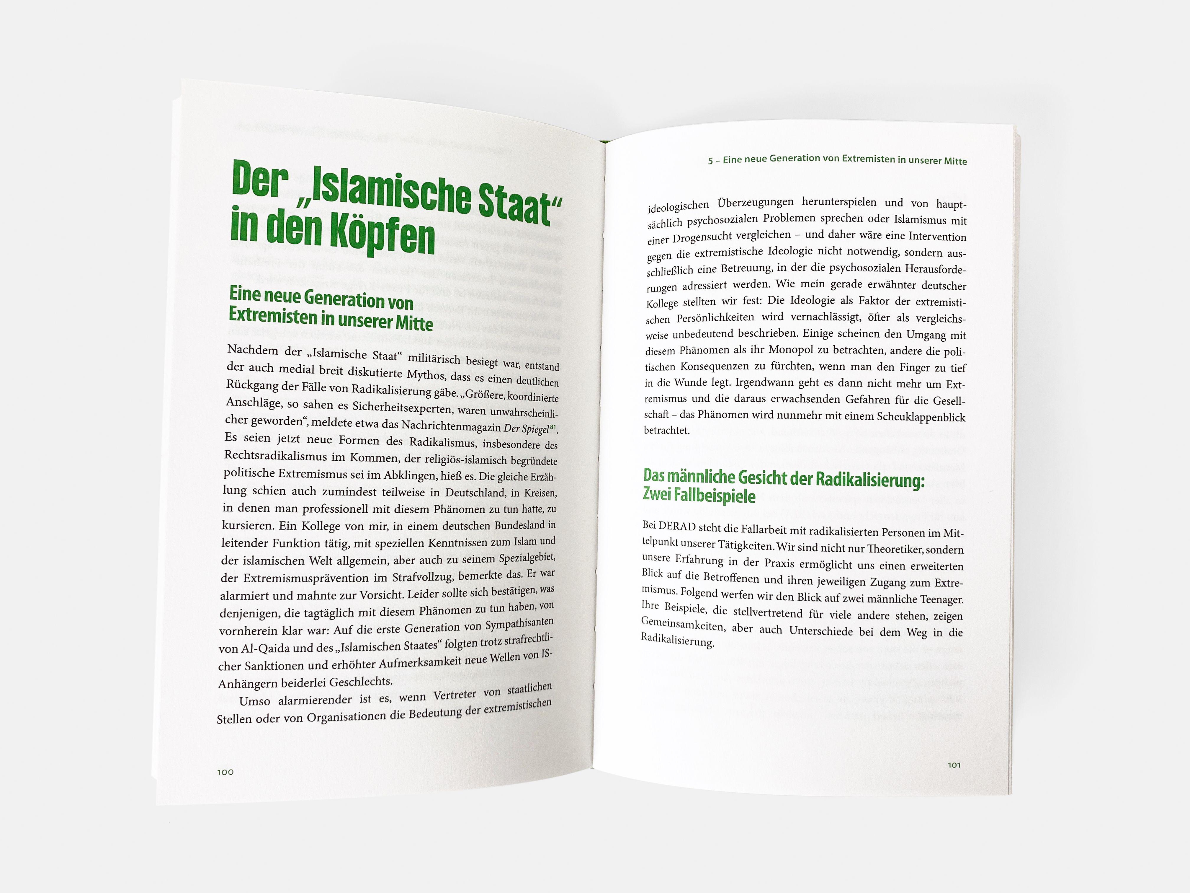 Beispielinhalt (Bild) Die Radikalisierten