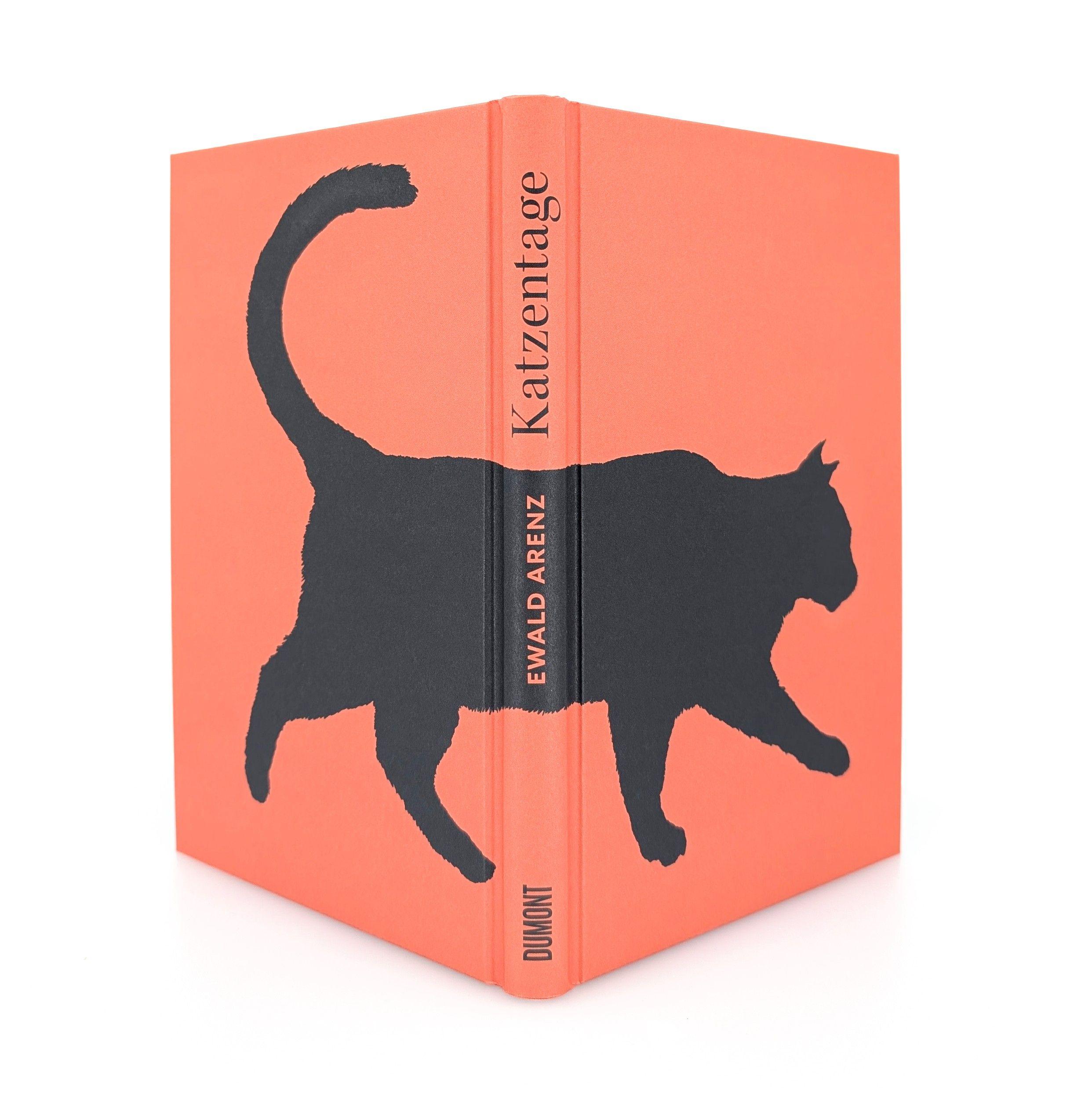 Beispielinhalt (Bild) Katzentage