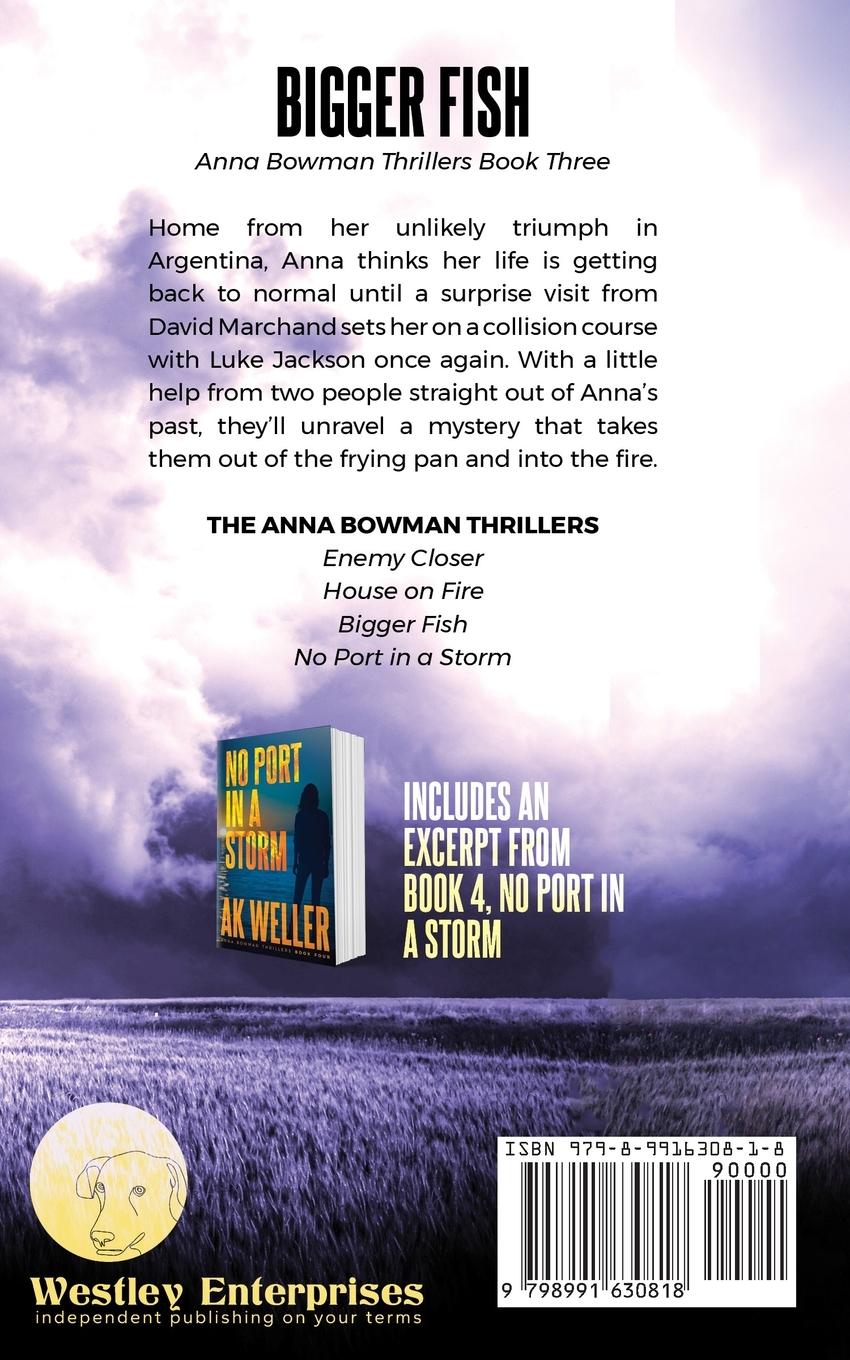 Rückseitencover Bigger Fish