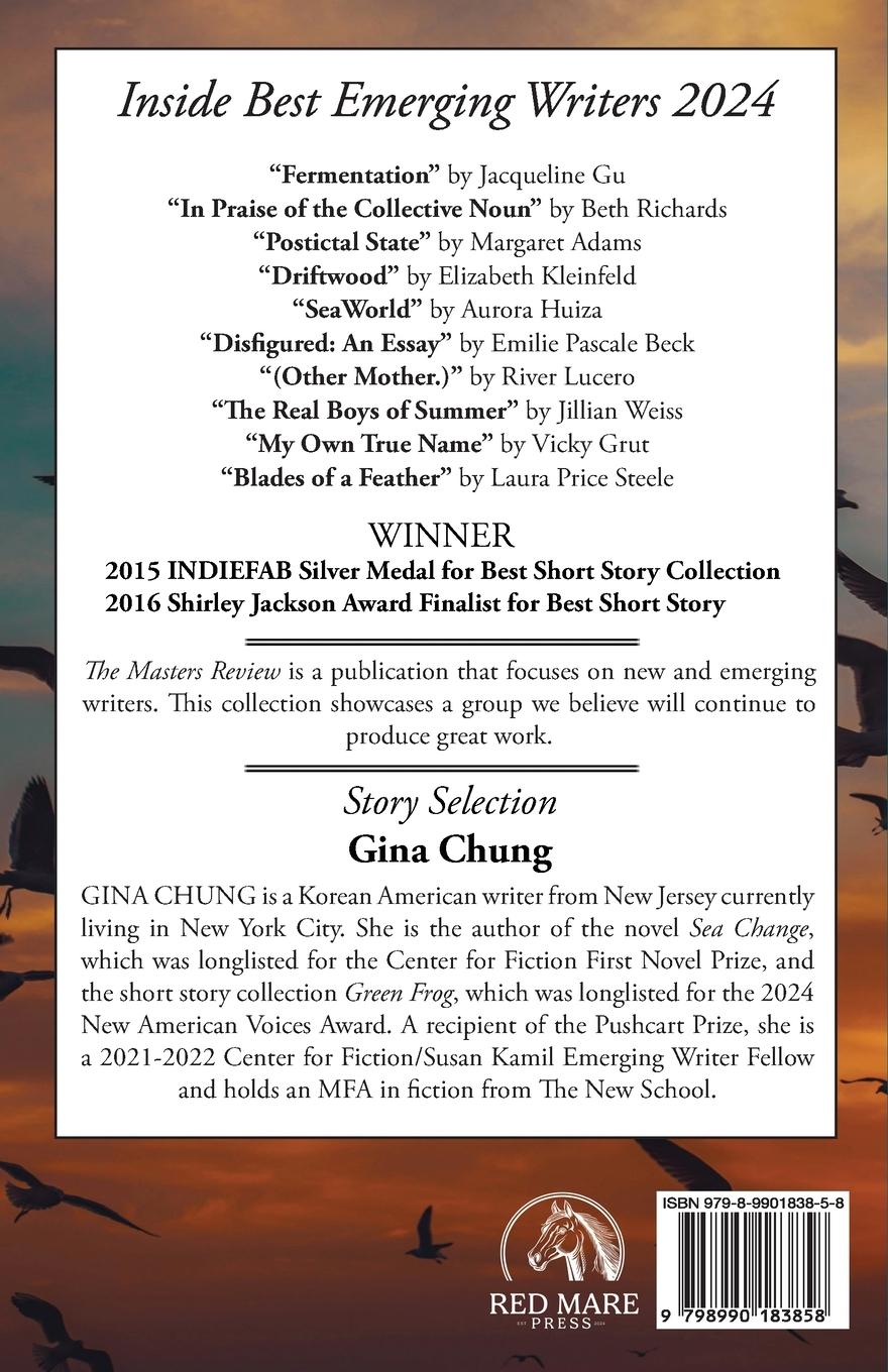 Rückseitencover The Masters Review Best Emerging Writers 2024