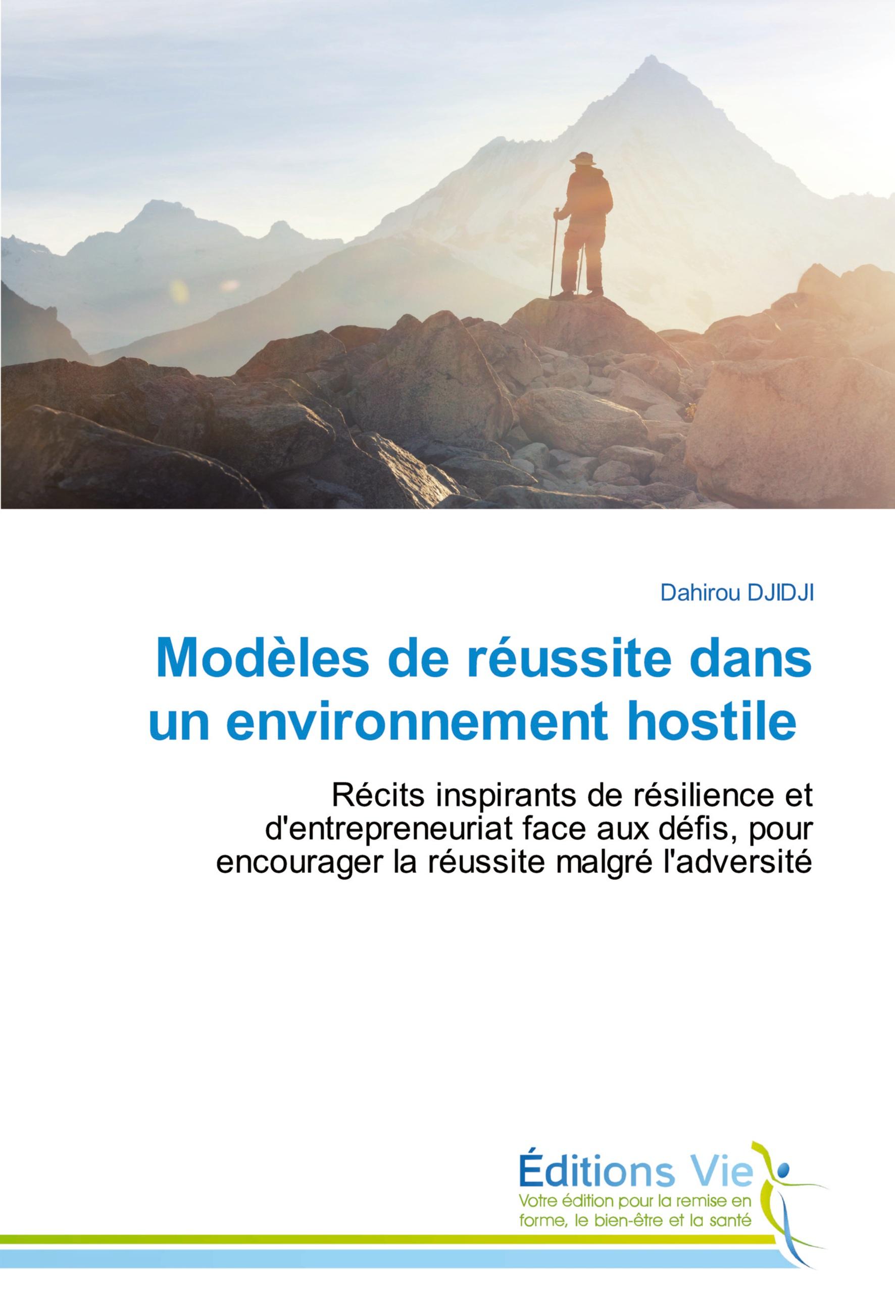Vorderes Coverbild Modèles de réussite dans un environnement hostile