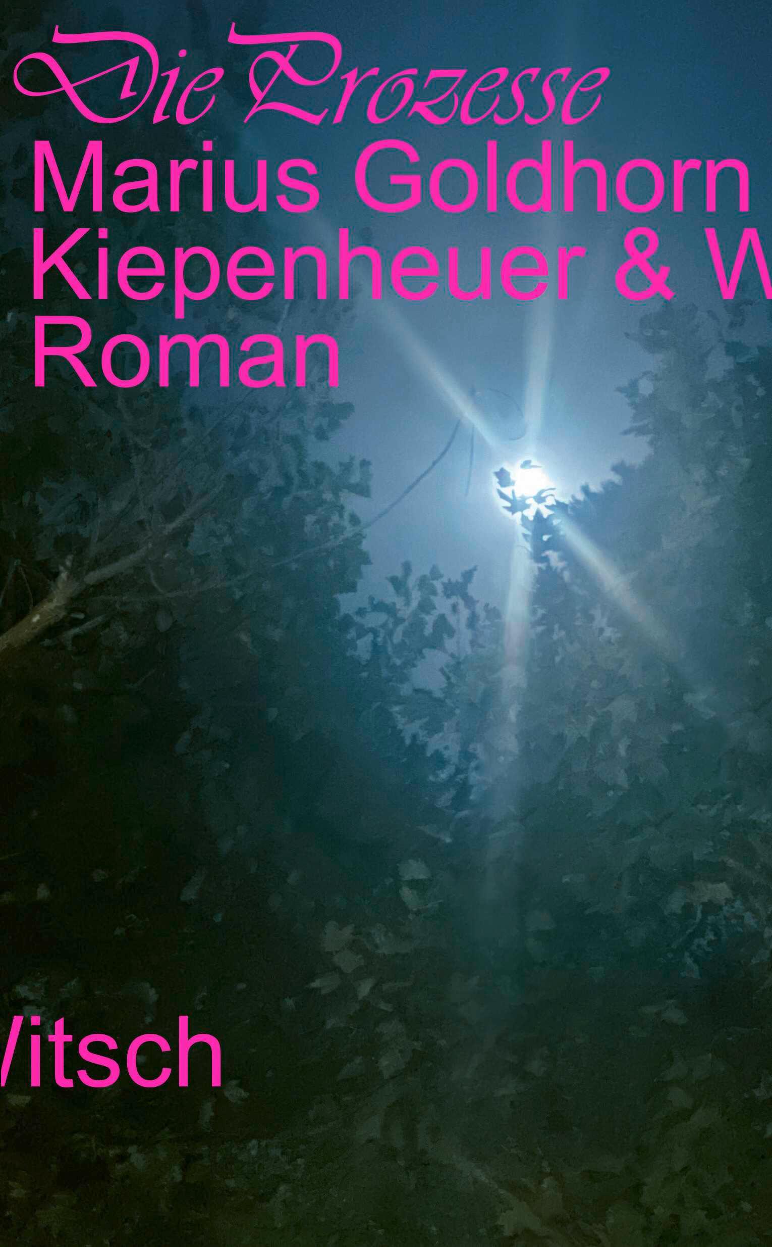 Vorderes Coverbild Die Prozesse
