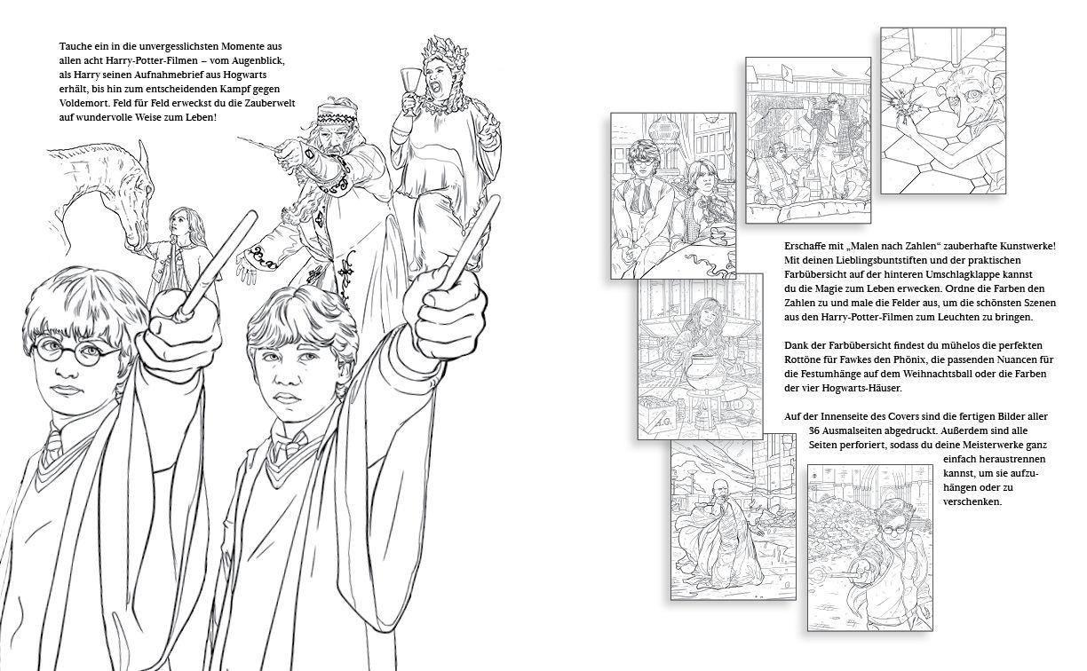 Beispielinhalt (Bild) Aus den Filmen zu Harry Potter: Malen nach Zahlen