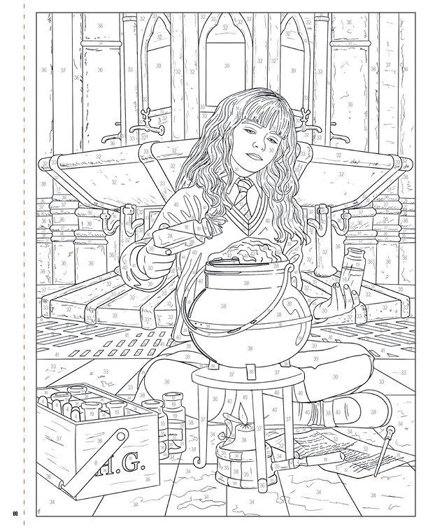 Beispielinhalt (Bild) Aus den Filmen zu Harry Potter: Malen nach Zahlen