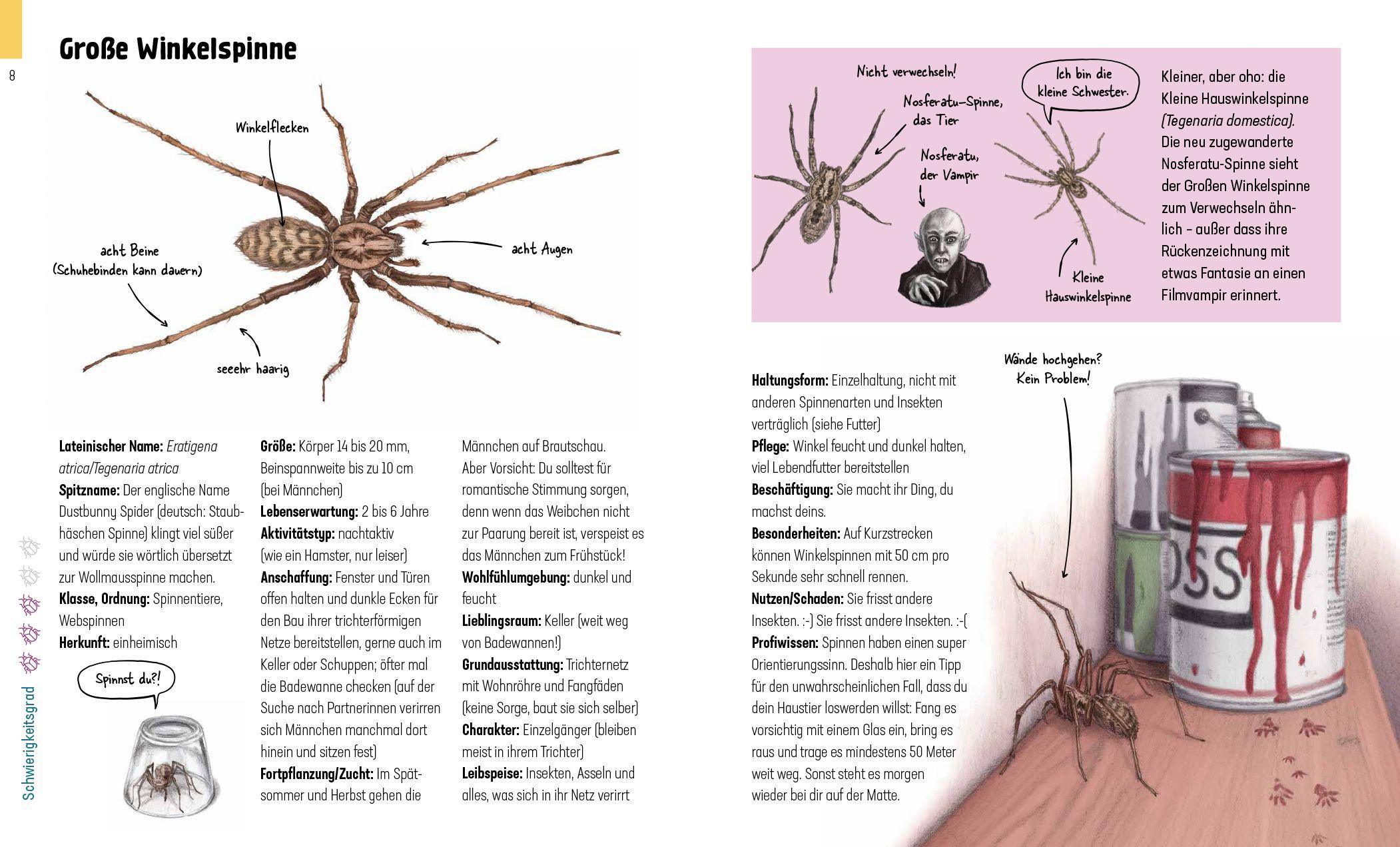 Beispielinhalt (Bild) Hui, Spinne! Haustierchen halten für Anfänger