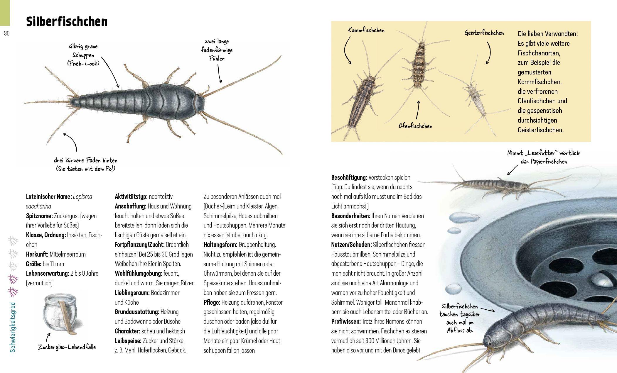 Beispielinhalt (Bild) Hui, Spinne! Haustierchen halten für Anfänger
