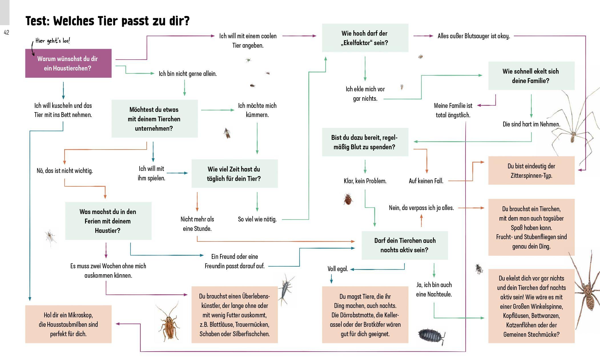 Beispielinhalt (Bild) Hui, Spinne! Haustierchen halten für Anfänger