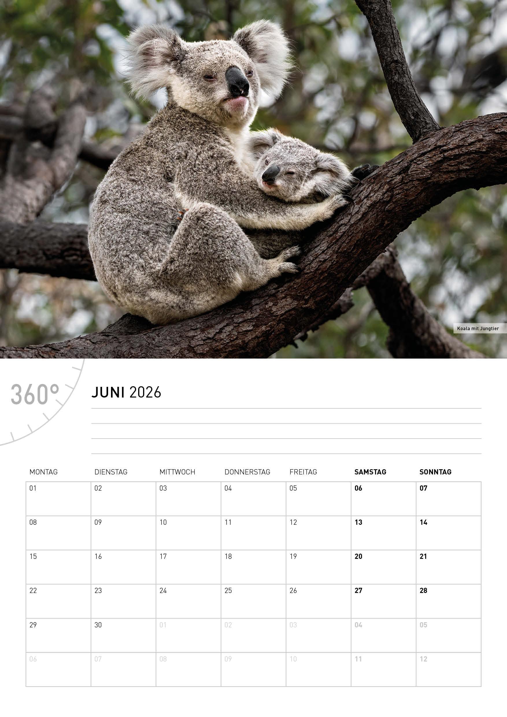 Beispielinhalt (Bild) Australien Broschürenkalender 2026