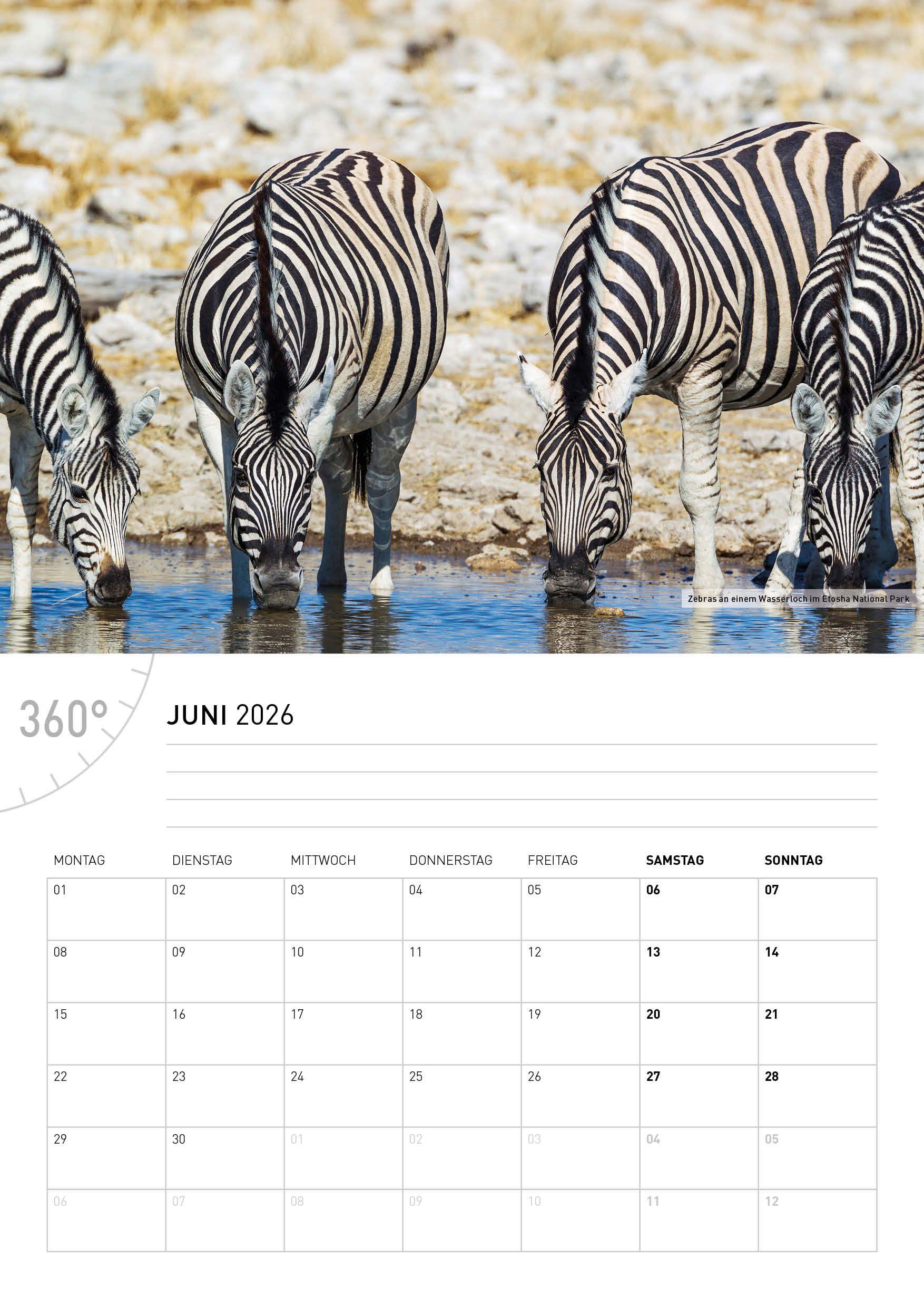 Beispielinhalt (Bild) Namibia Broschürenkalender 2026