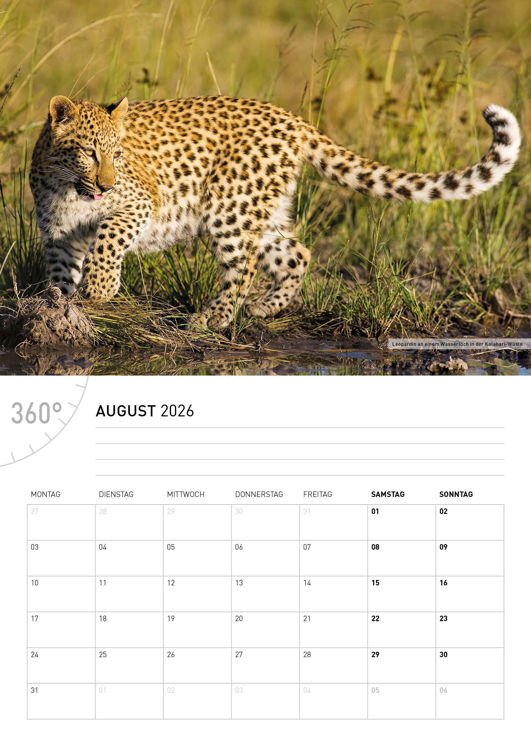 Beispielinhalt (Bild) Namibia Broschürenkalender 2026