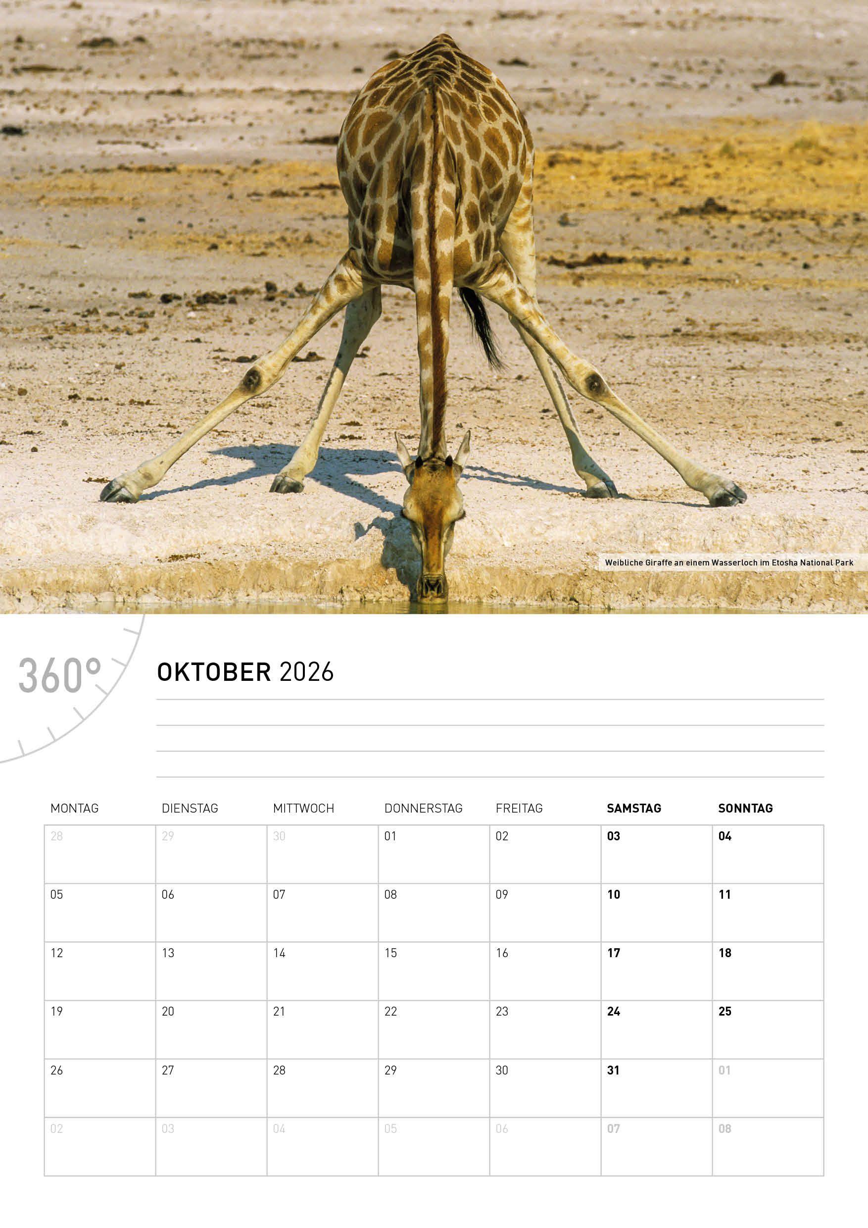 Beispielinhalt (Bild) Namibia Broschürenkalender 2026