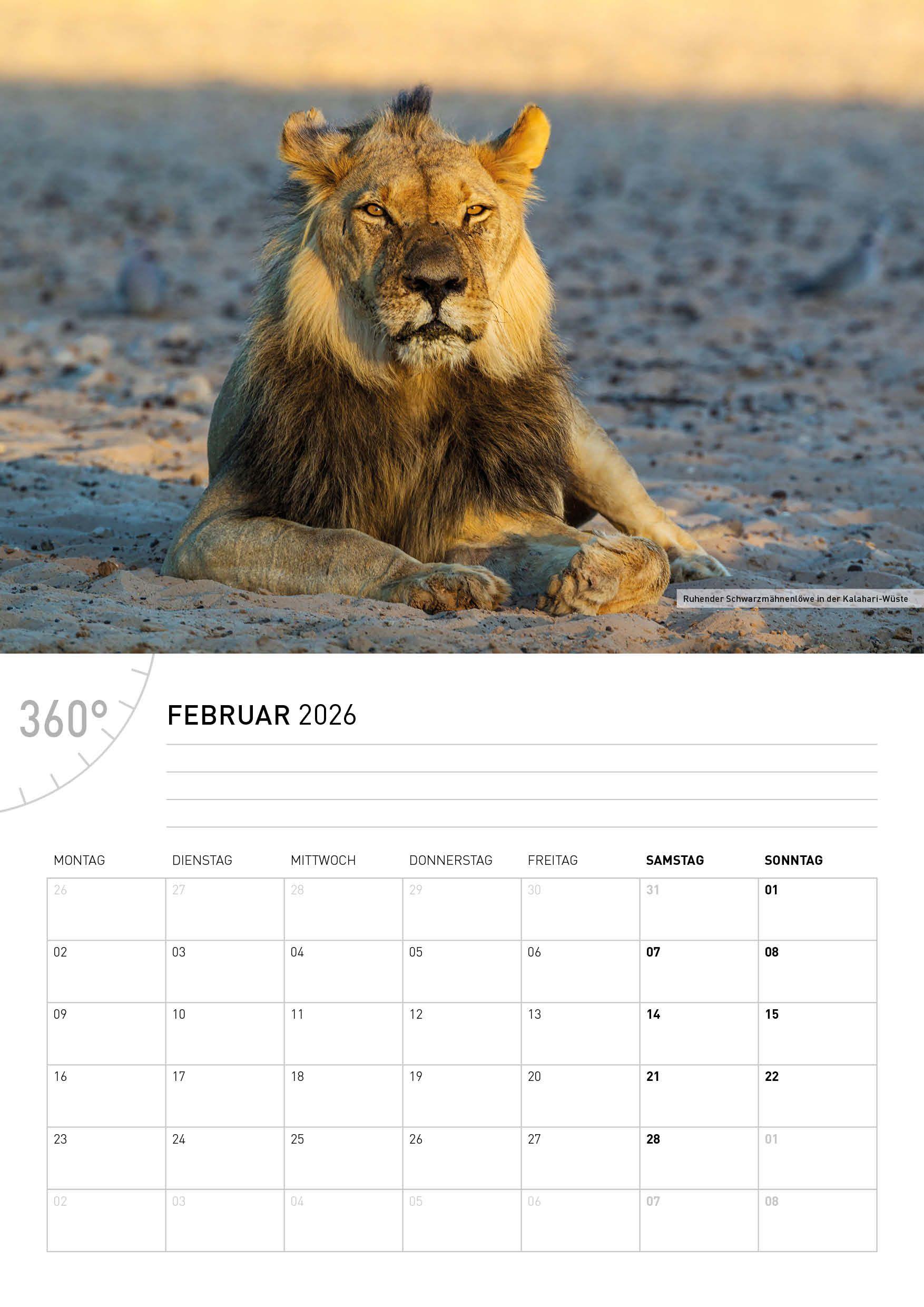 Beispielinhalt (Bild) Namibia Broschürenkalender 2026