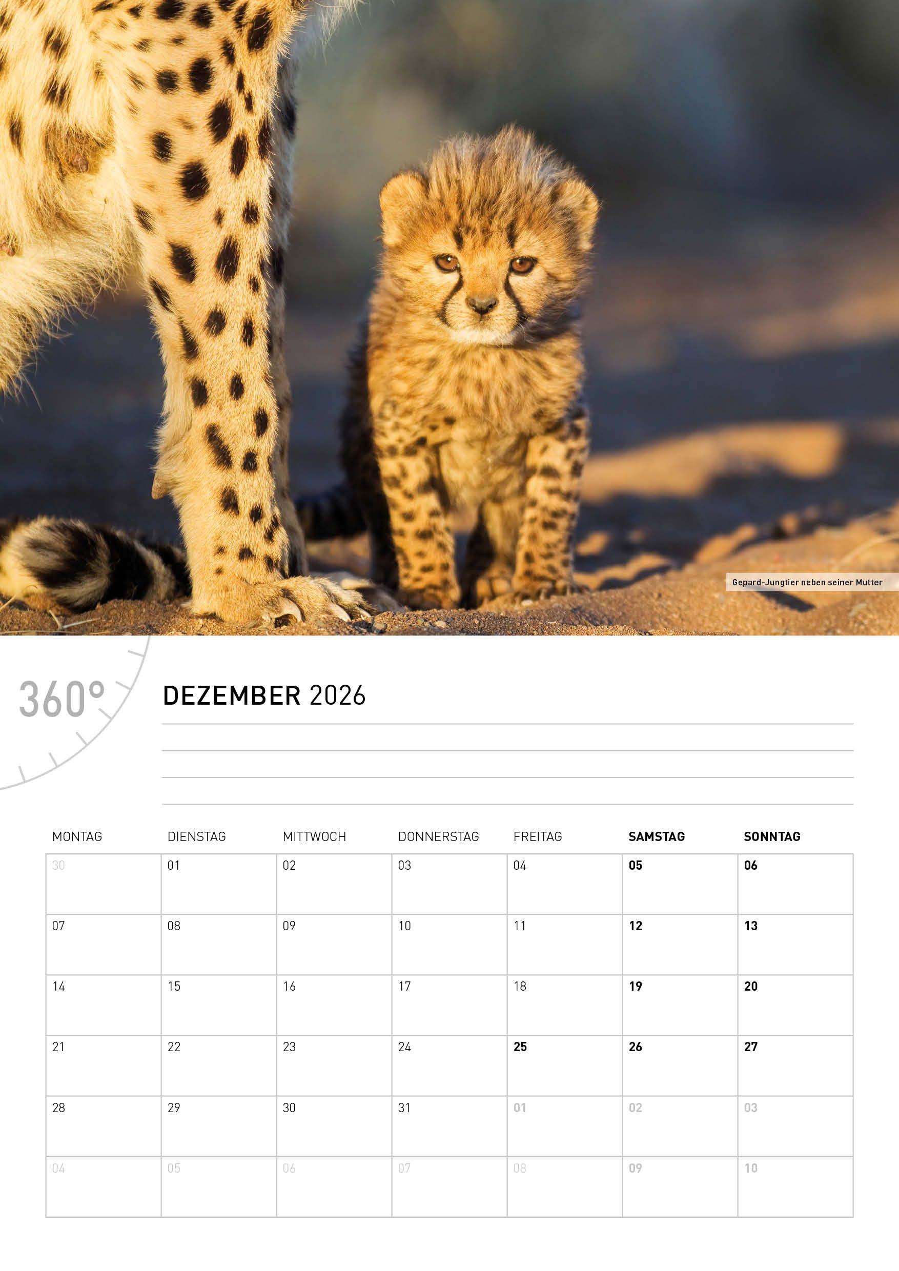 Beispielinhalt (Bild) Namibia Broschürenkalender 2026