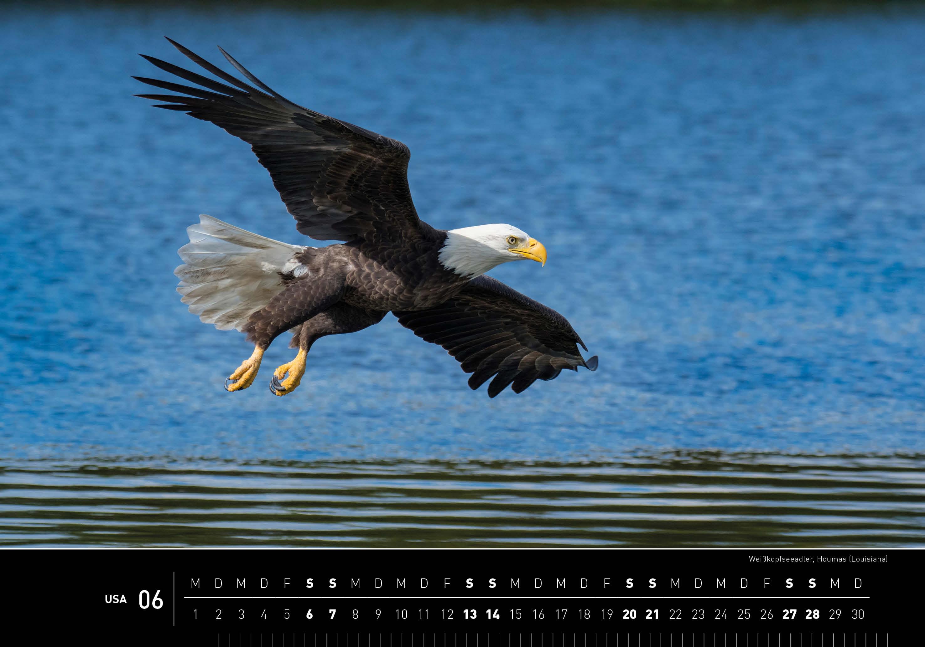 Beispielinhalt (Bild) USA Premiumkalender 2026