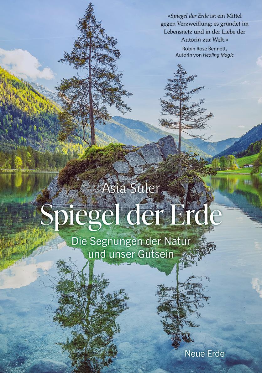 Vorderes Coverbild Spiegel der Erde
