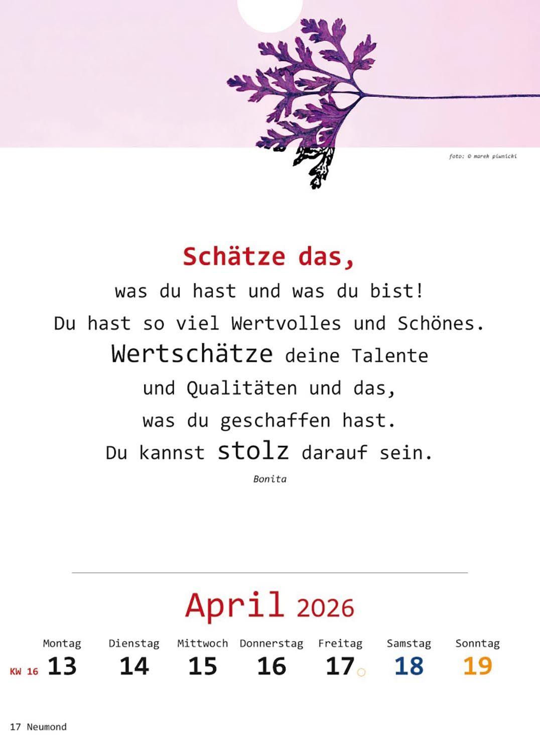 Beispielinhalt (Bild) Ich-Kalender 2026