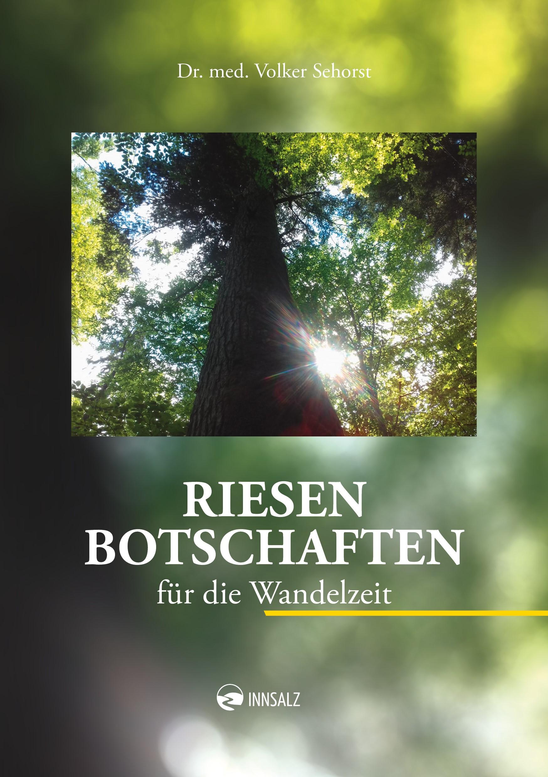 Vorderes Coverbild Riesen