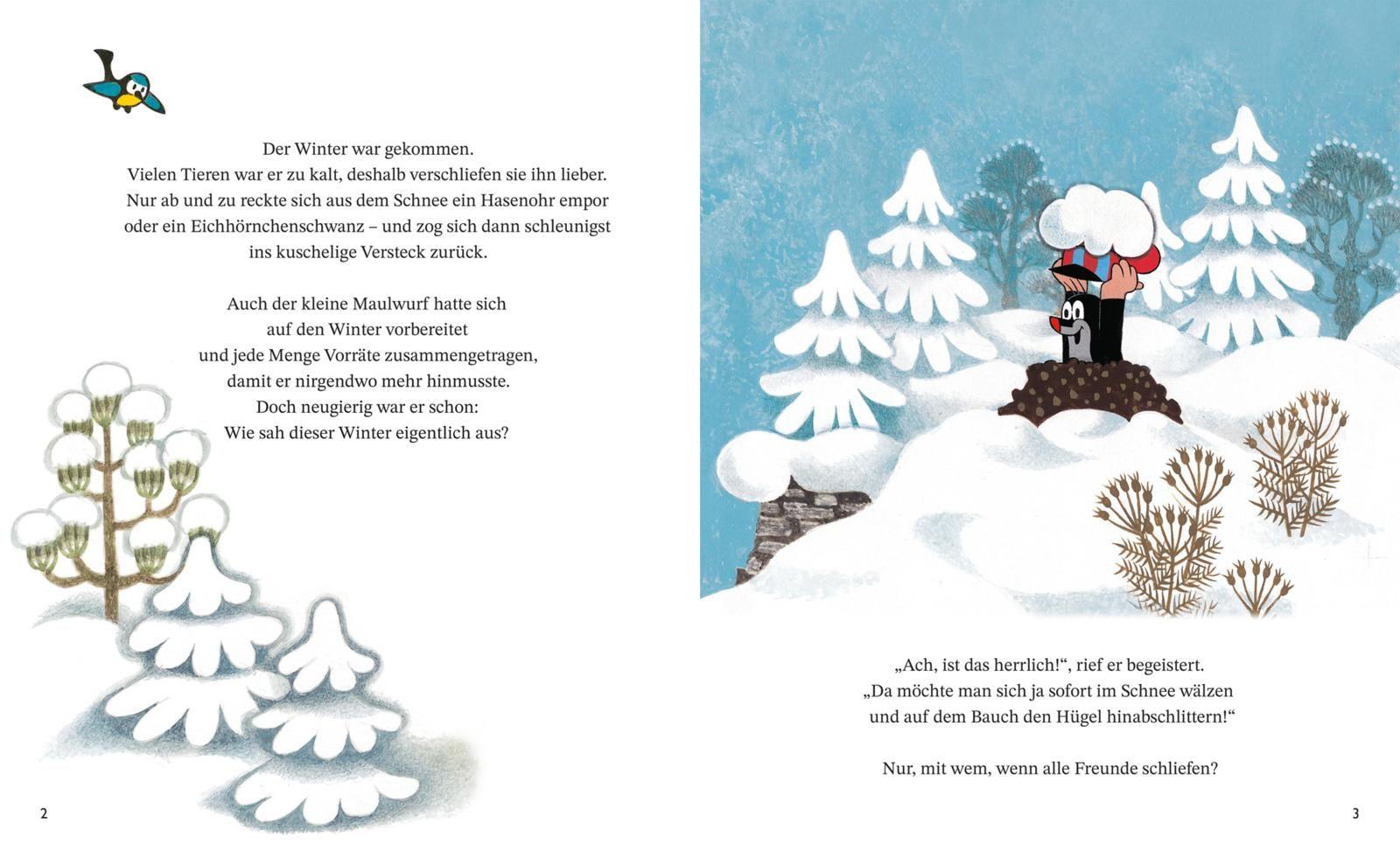 Beispielinhalt (Bild) Der kleine Maulwurf und der Schneemann