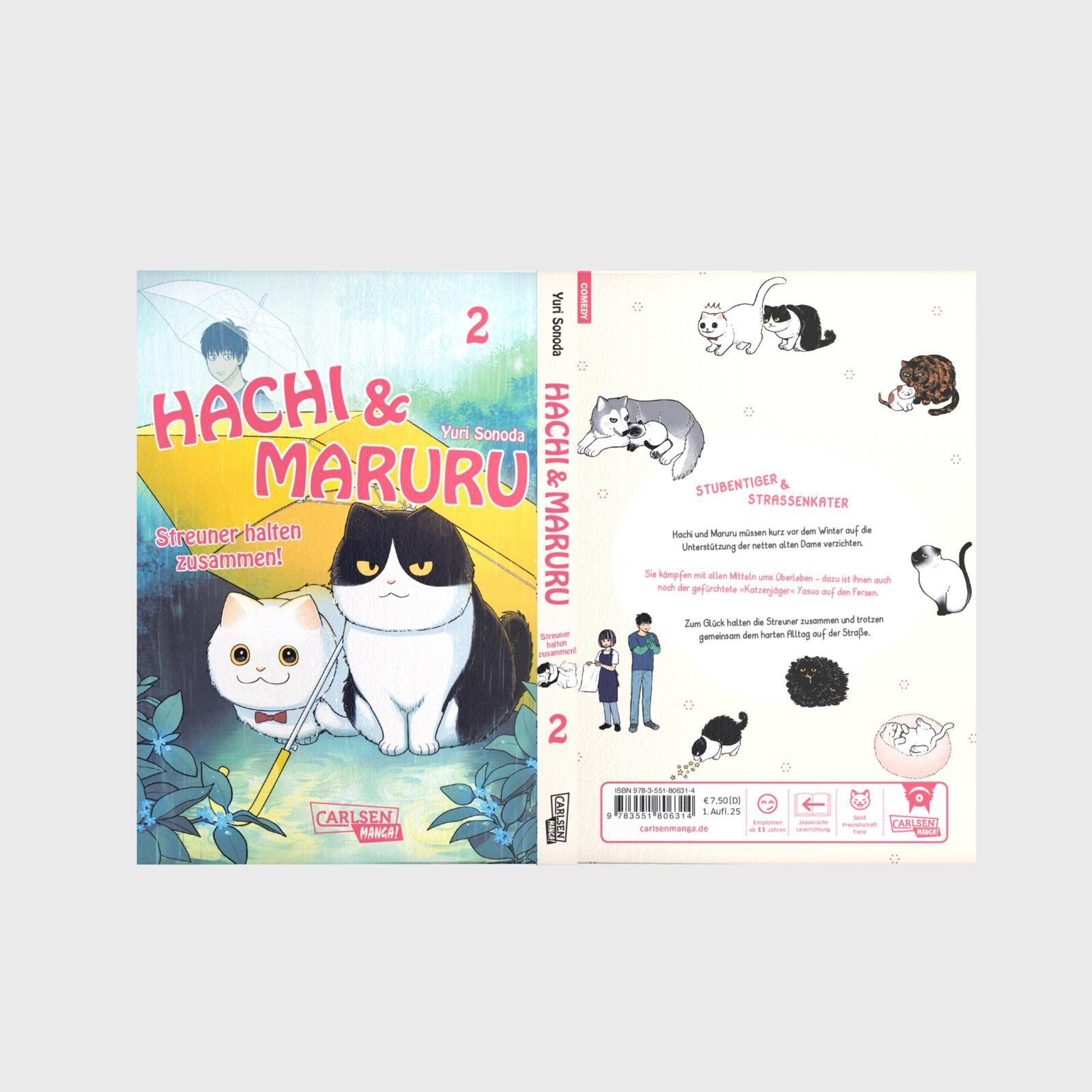 Beispielinhalt (Bild) Hachi & Maruru - Streuner halten zusammen! 2