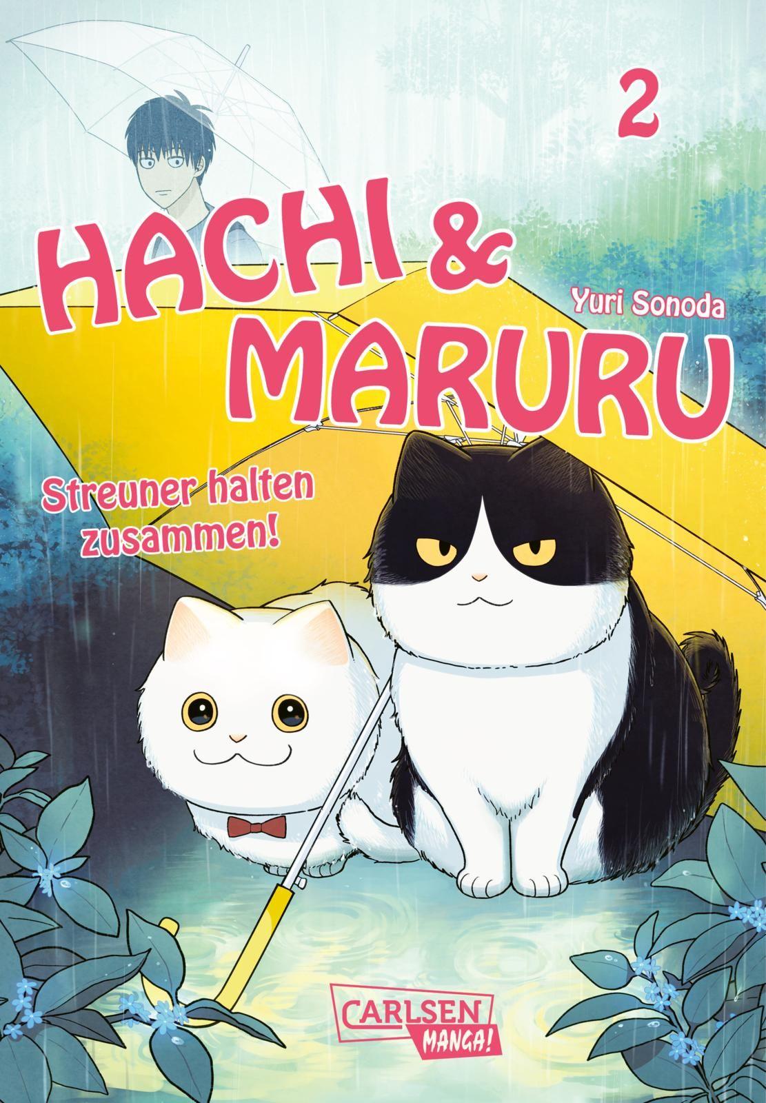 Vorderes Coverbild Hachi & Maruru - Streuner halten zusammen! 2