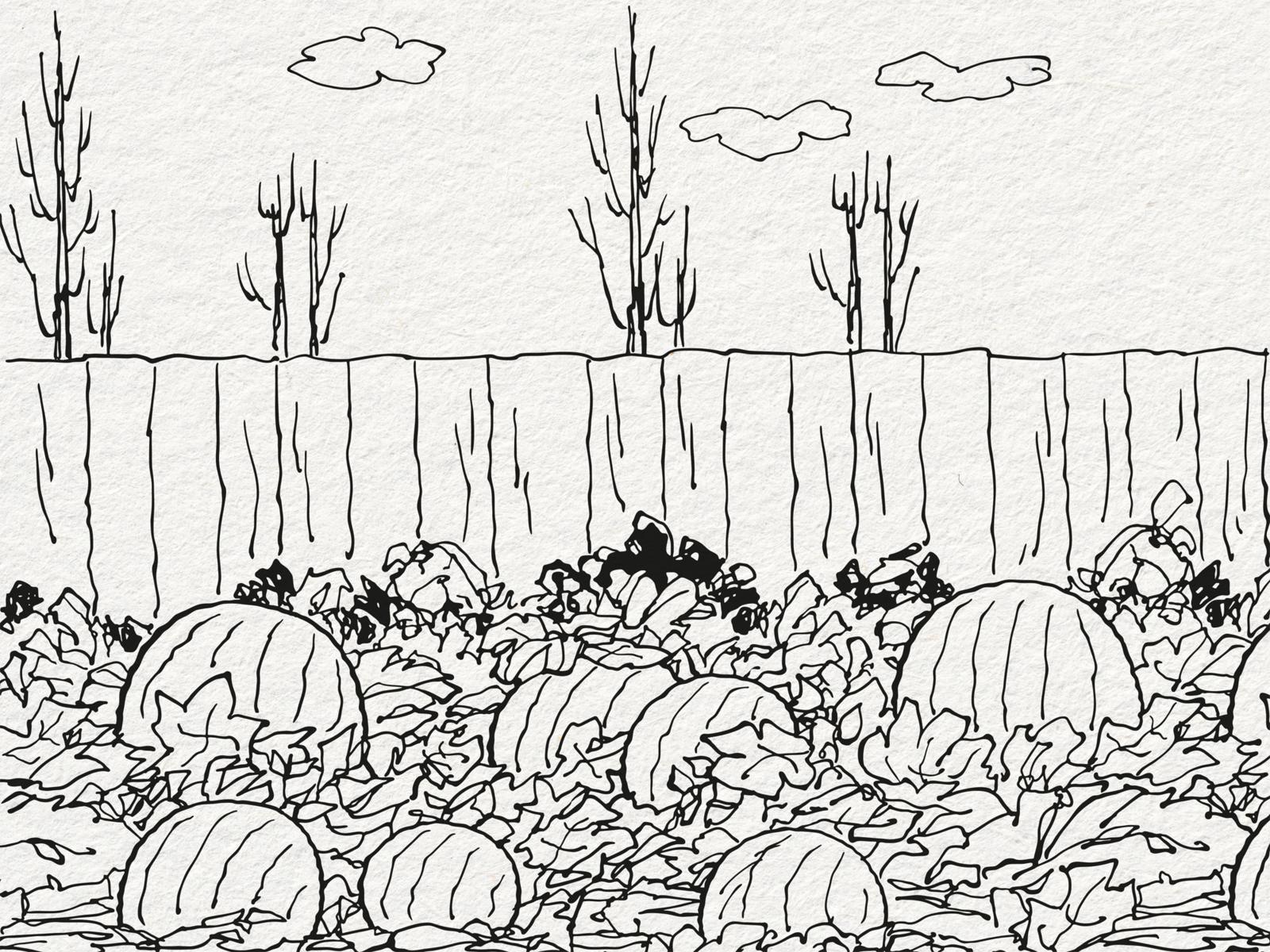 Beispielinhalt (Bild) Das Beste der Peanuts