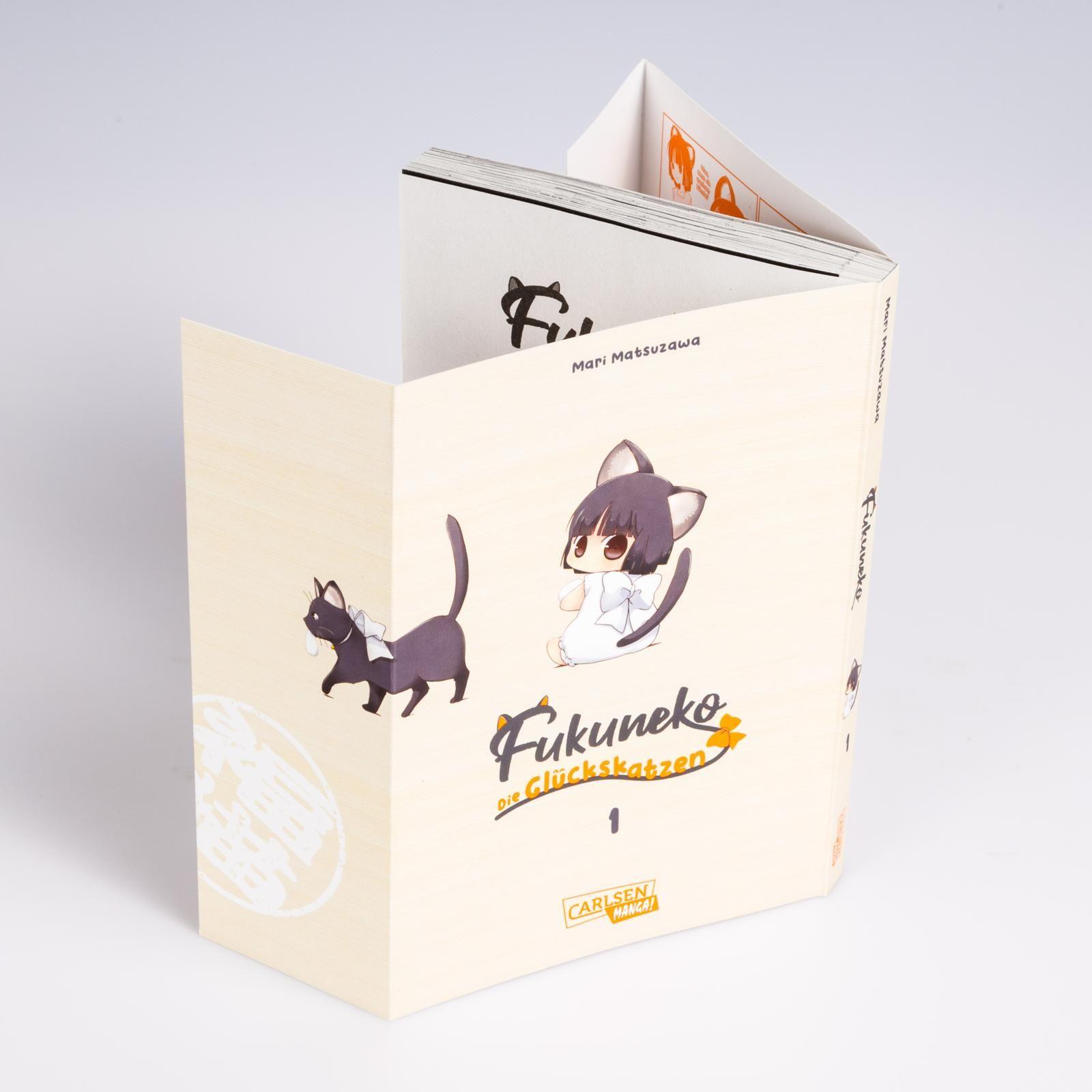 Beispielinhalt (Bild) Fukuneko 1