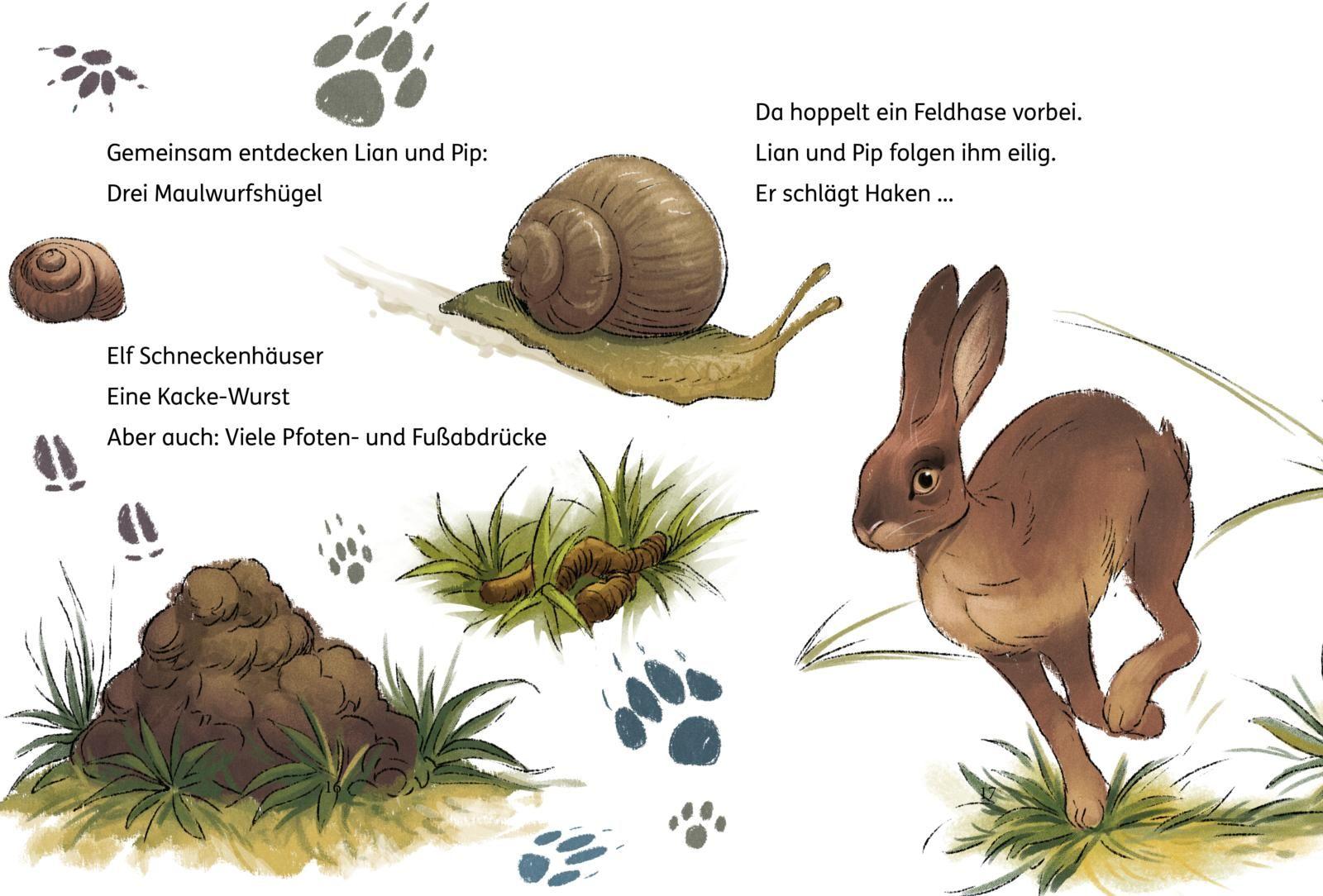 Beispielinhalt (Bild) Lian, die Tierdetektivin 2: Wo ist Blob?