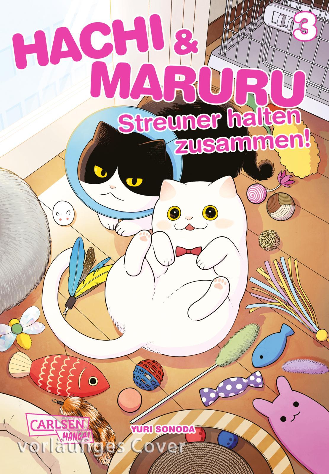 Vorderes Coverbild Hachi & Maruru - Streuner halten zusammen! 3