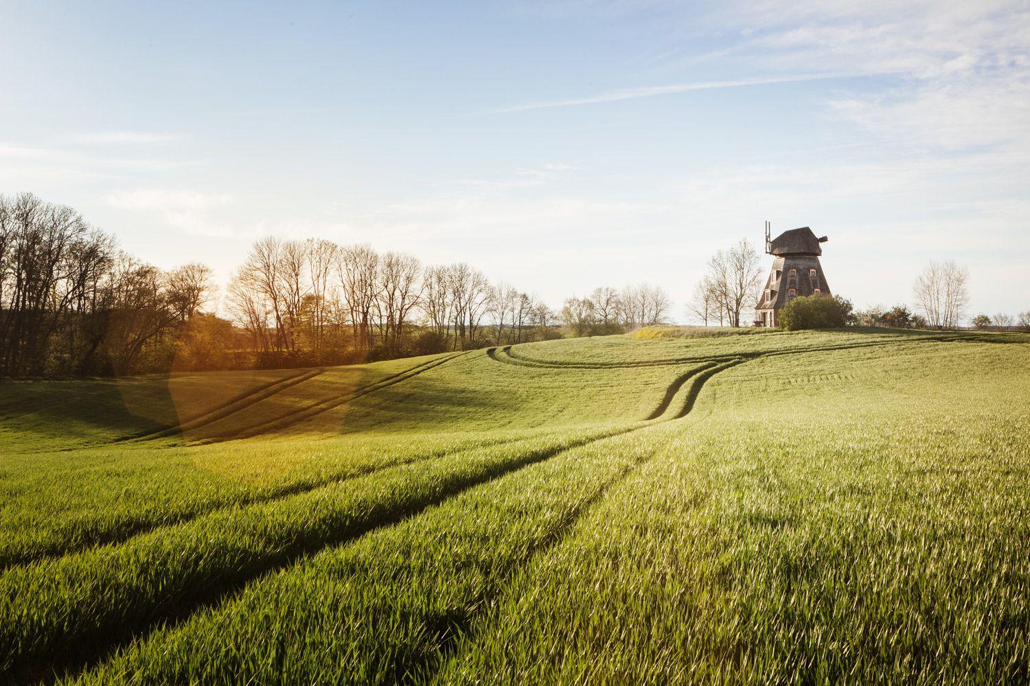 Beispielinhalt (Bild) Good Places for Good People Deutschland