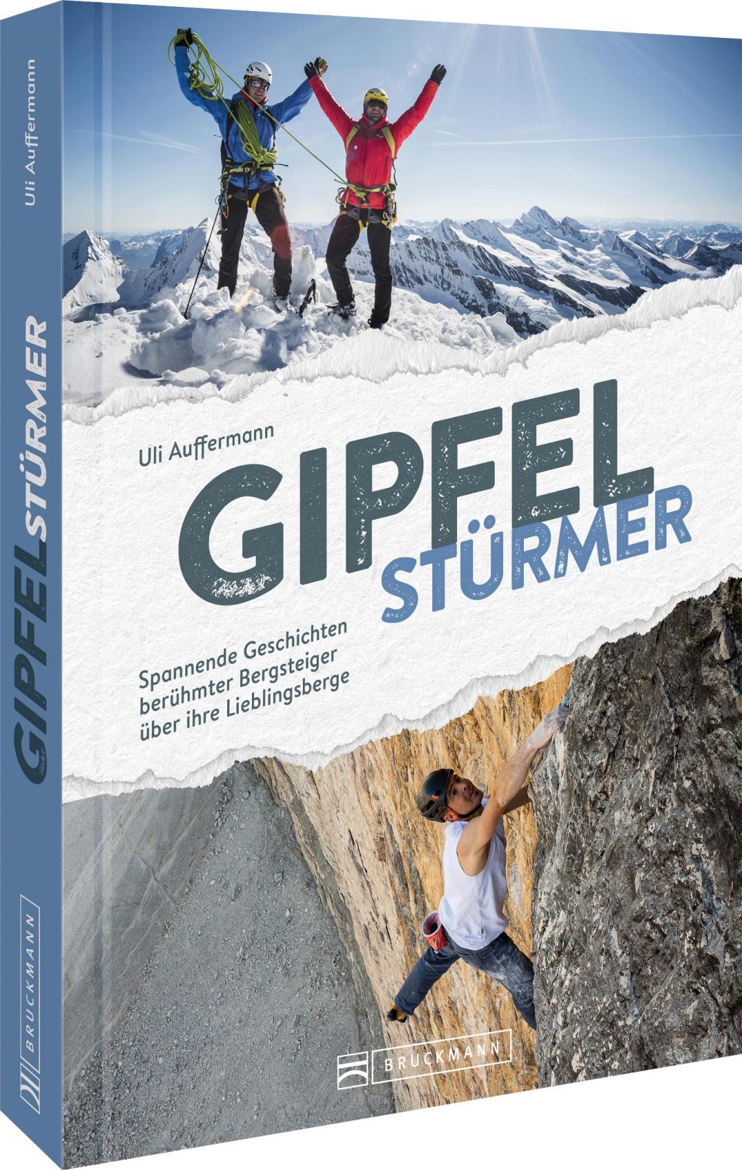 Vorderes Coverbild Gipfelstürmer