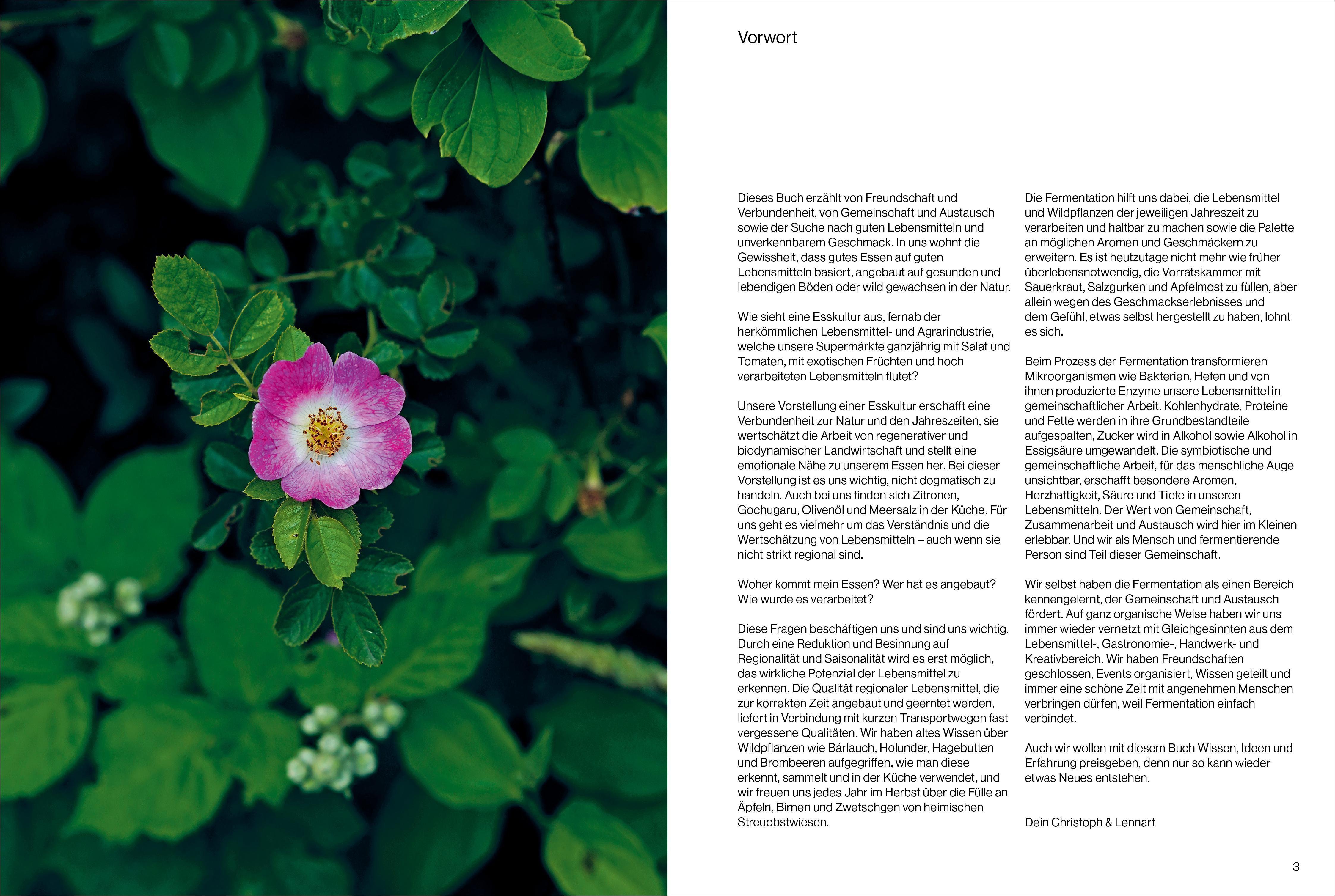 Beispielinhalt (Bild) Fermentiert