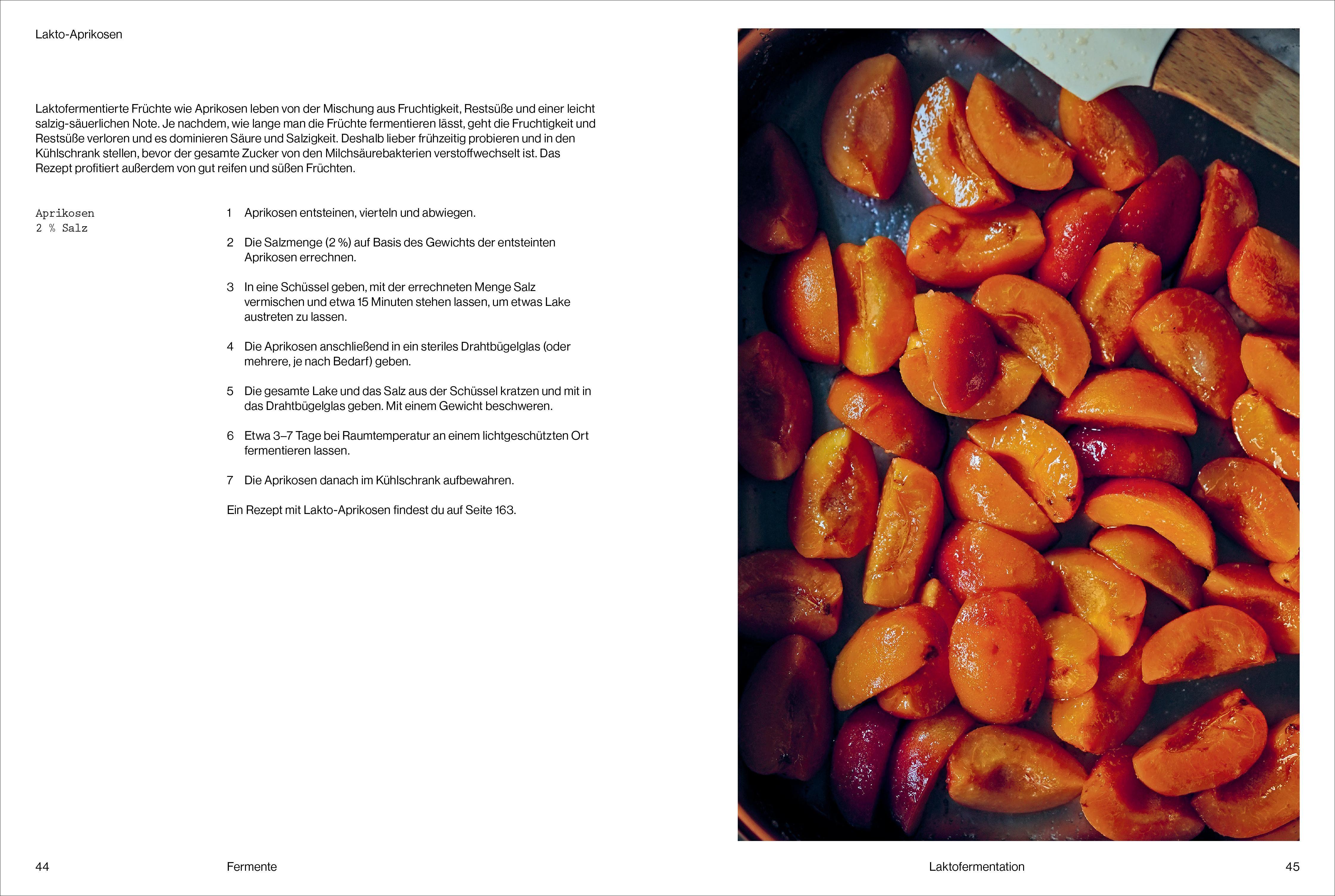 Beispielinhalt (Bild) Fermentiert