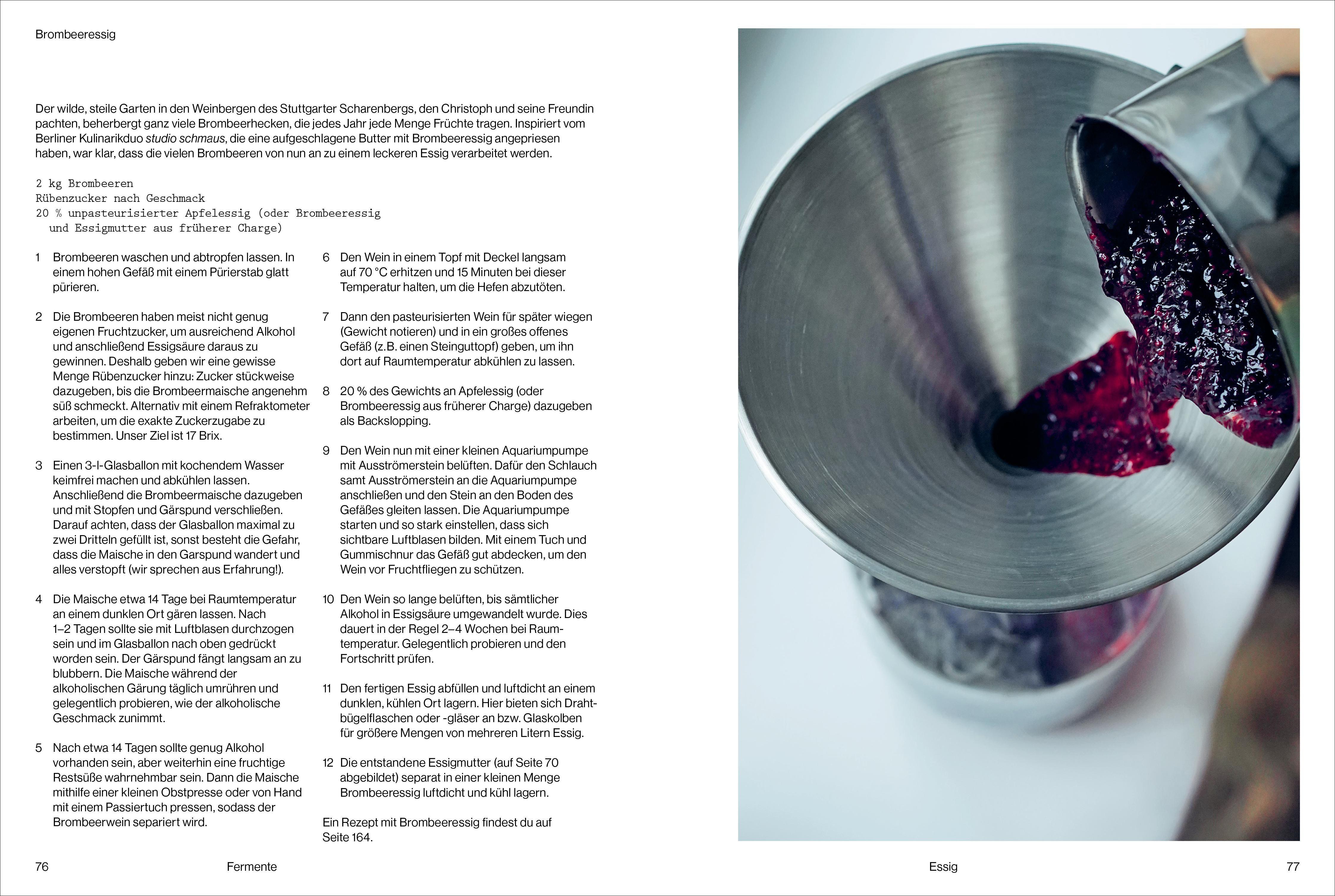 Beispielinhalt (Bild) Fermentiert