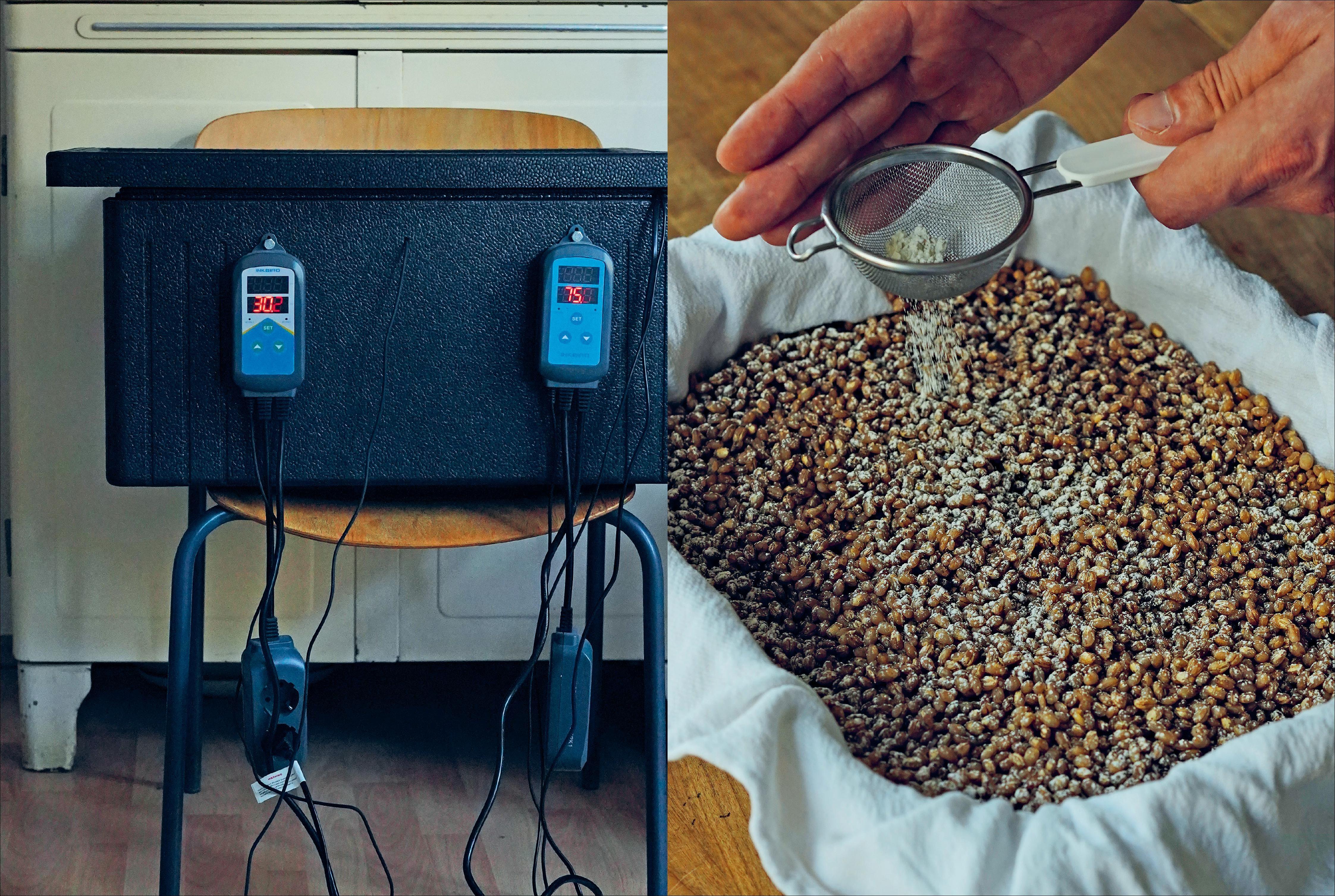 Beispielinhalt (Bild) Fermentiert