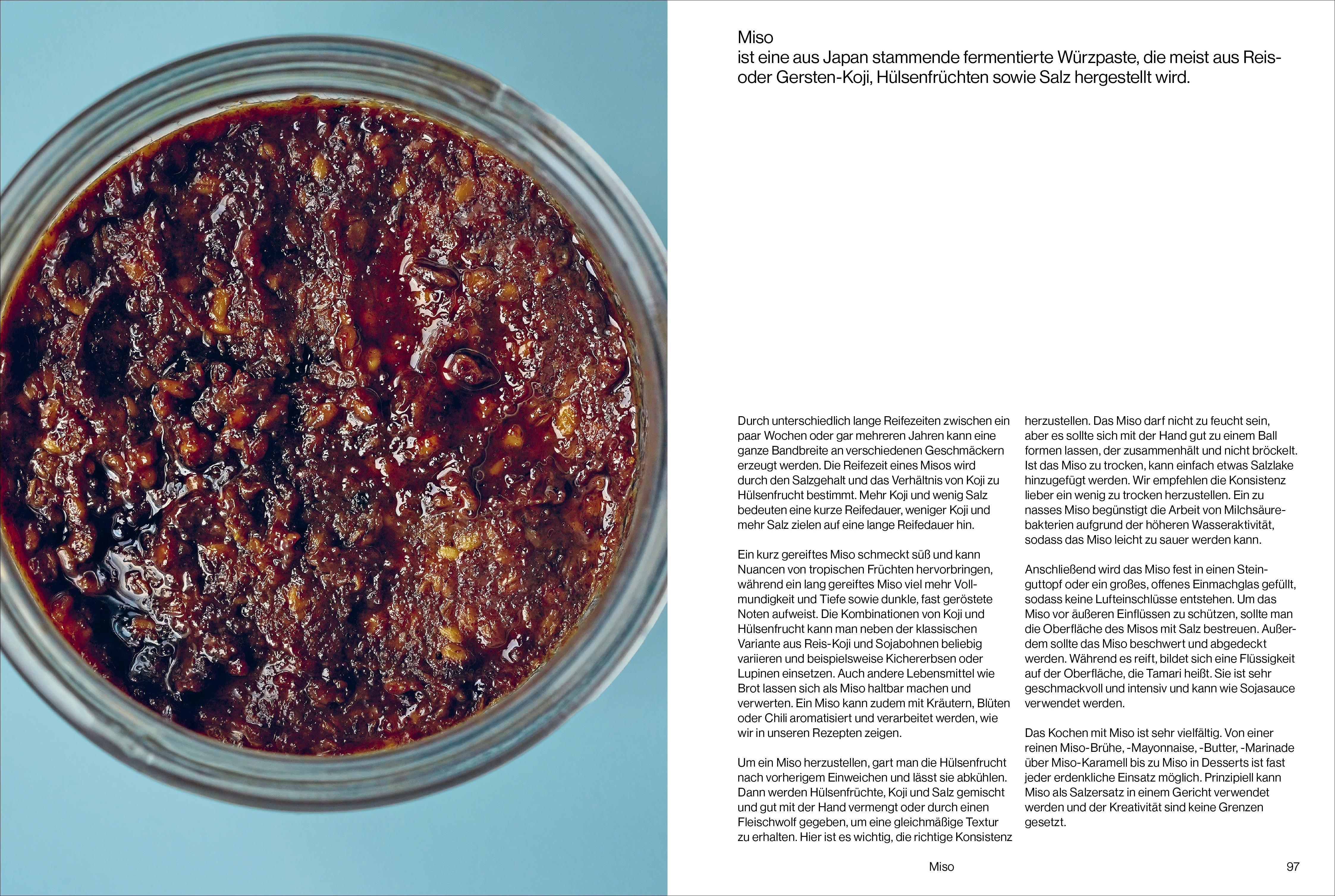 Beispielinhalt (Bild) Fermentiert