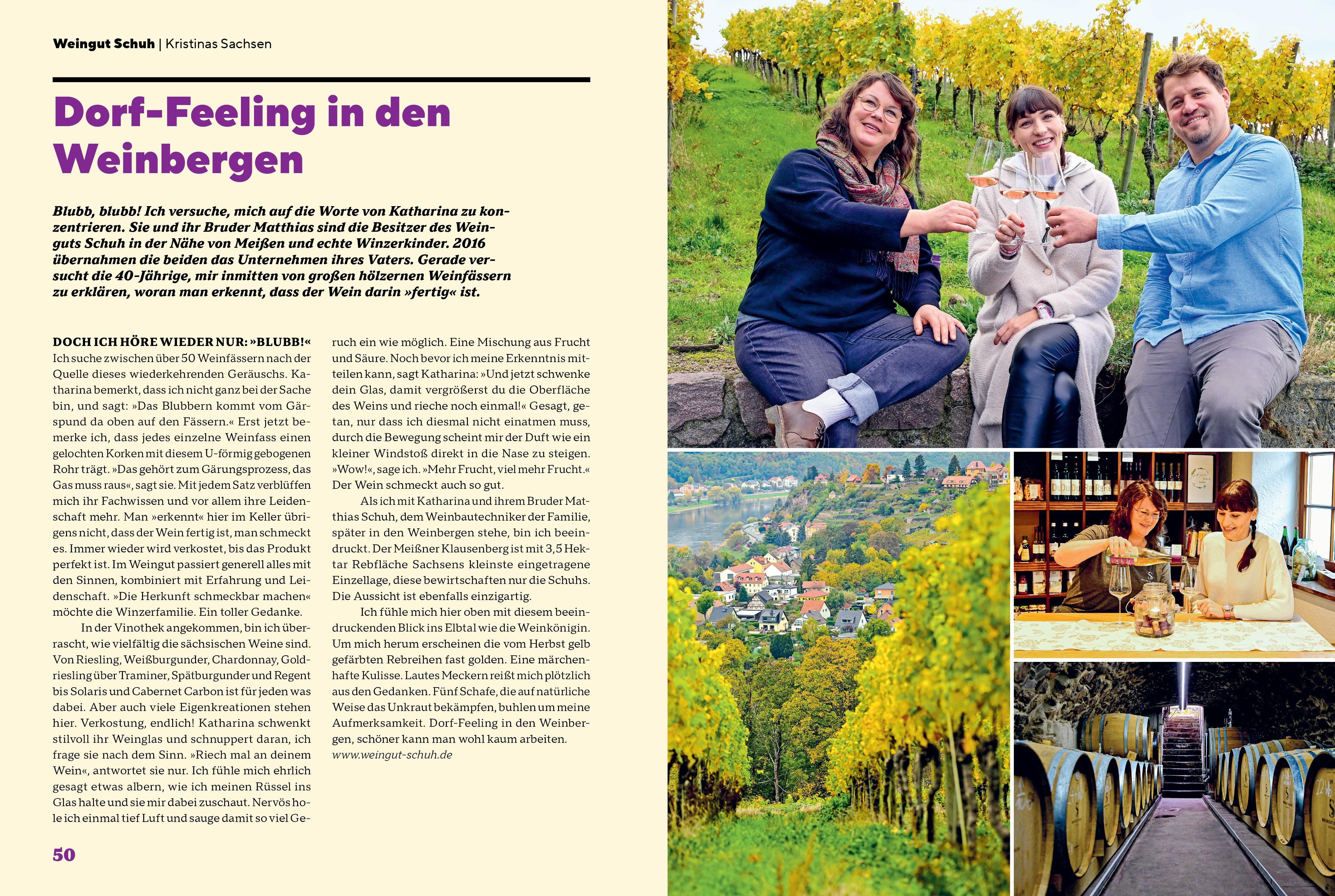 Beispielinhalt (Bild) Sächsisches Allerlei