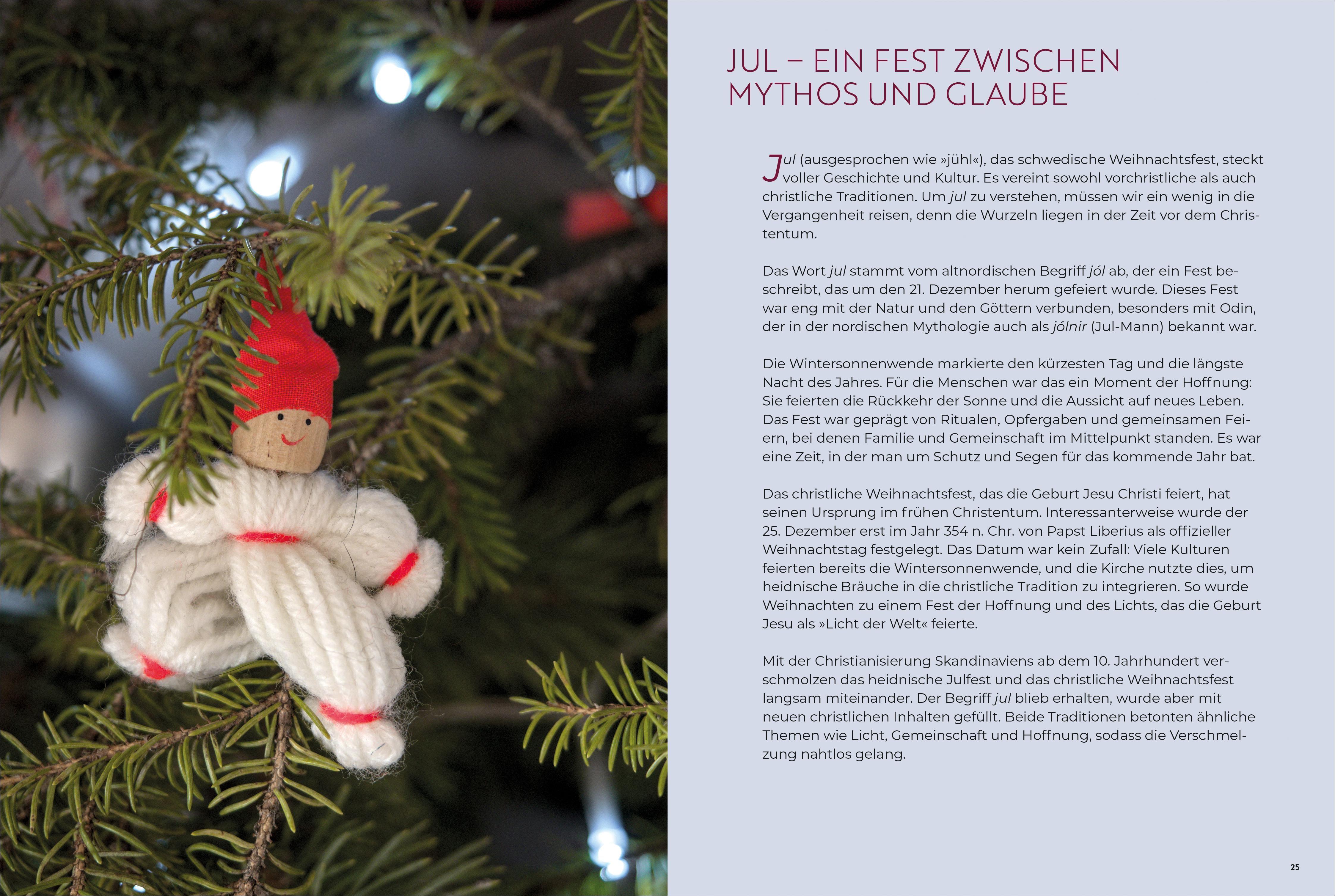 Beispielinhalt (Bild) Weihnachtszeit in Lappland