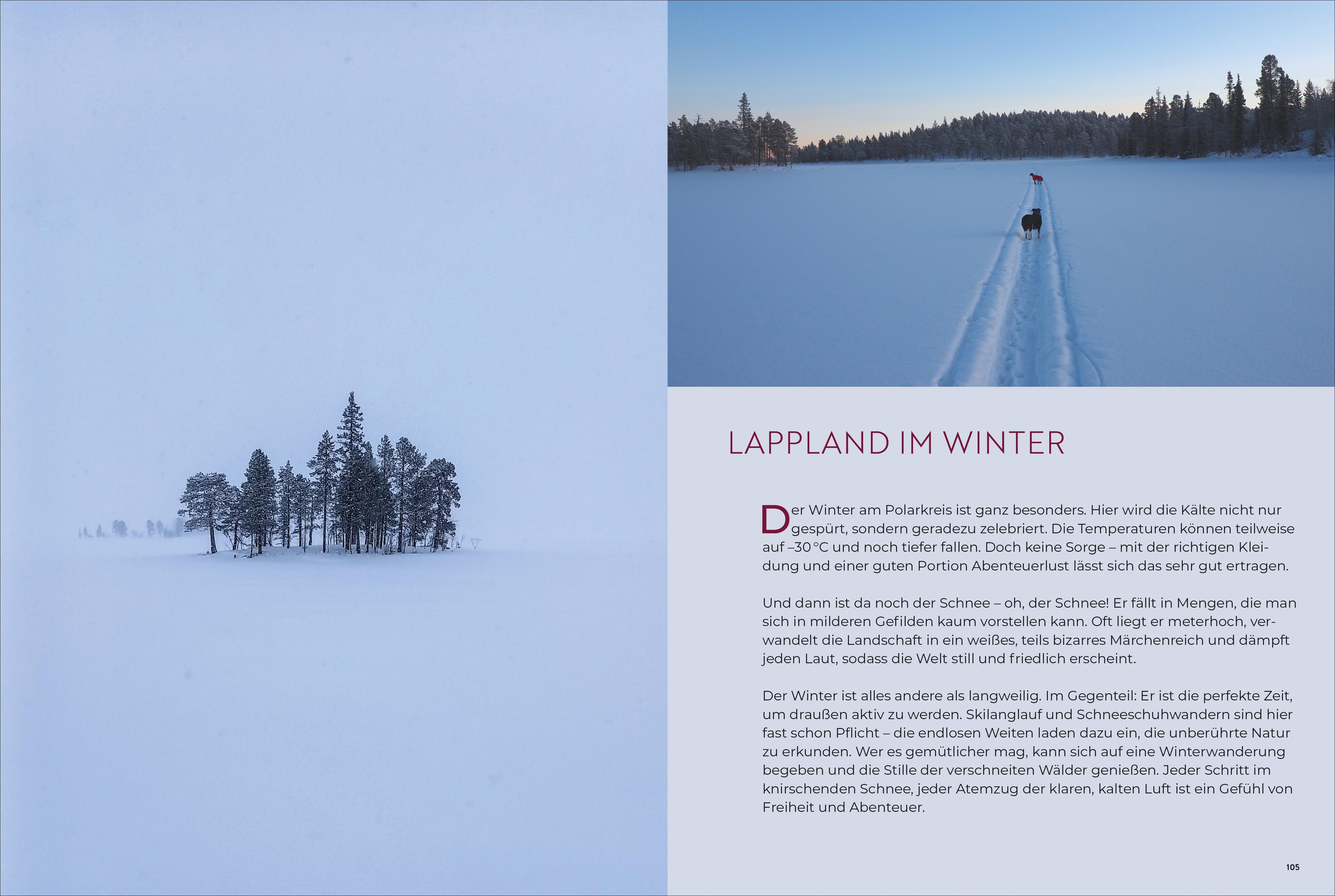 Beispielinhalt (Bild) Weihnachtszeit in Lappland