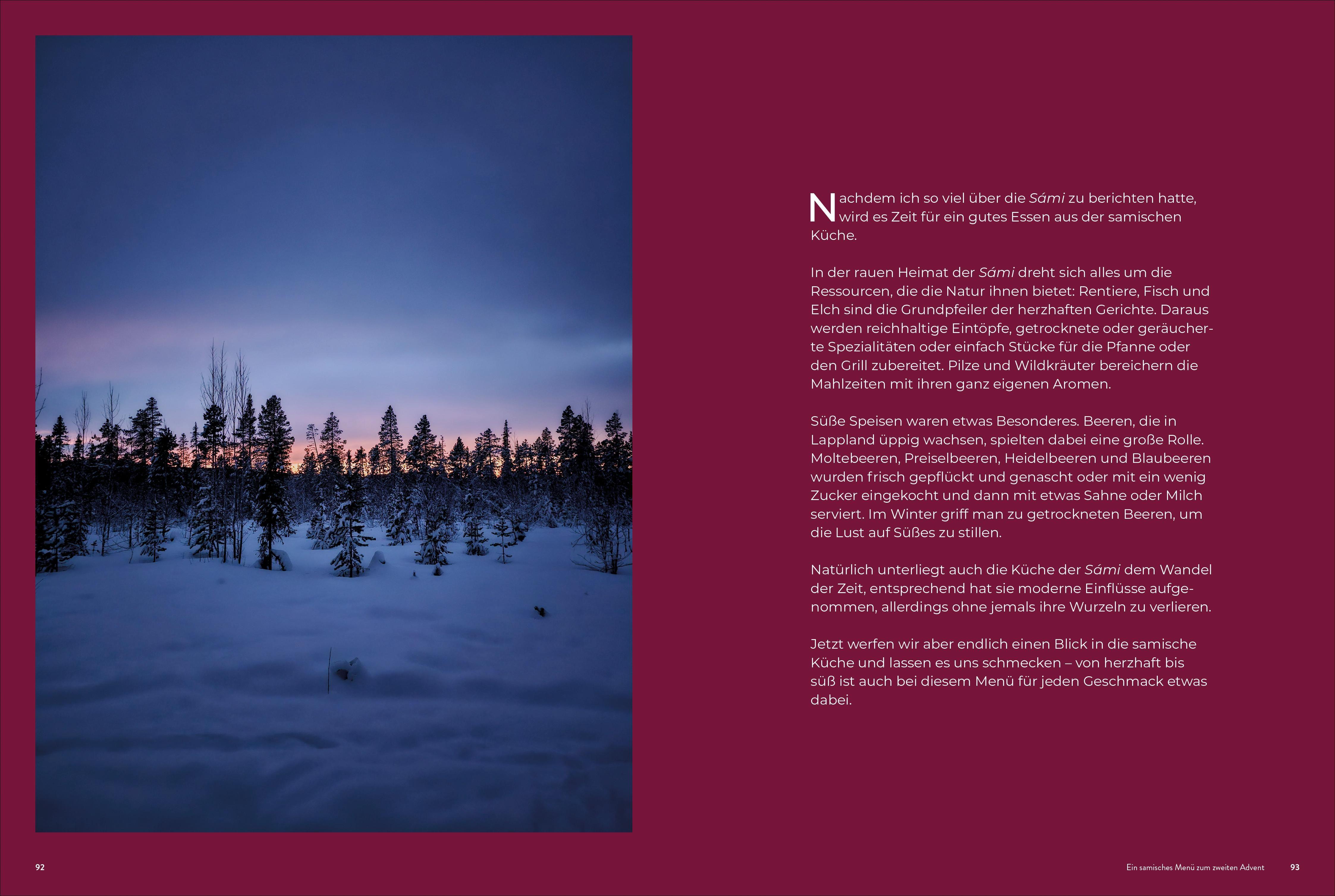 Beispielinhalt (Bild) Weihnachtszeit in Lappland